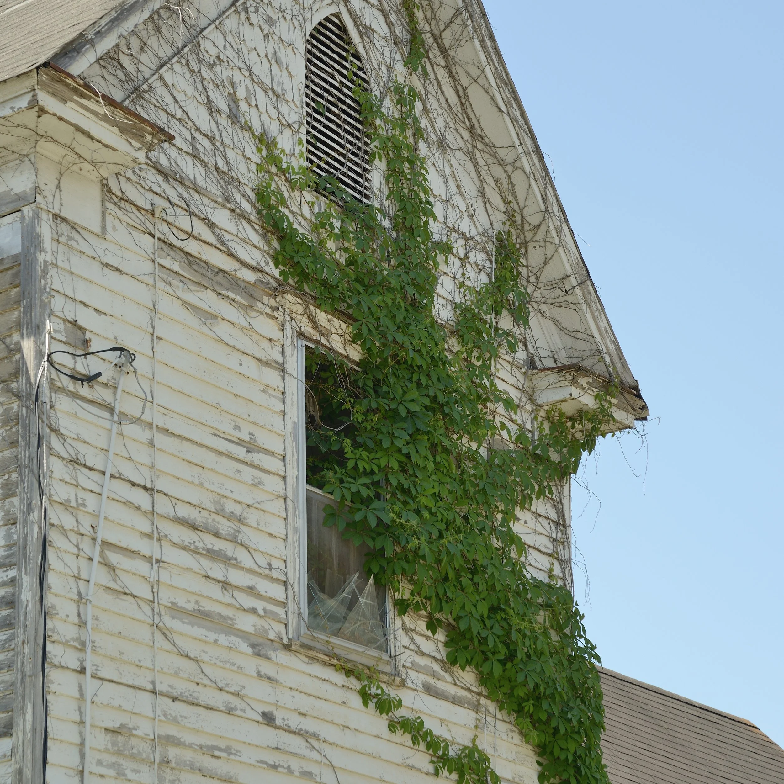 Close-up of a weathered, white wooden house exterior with peeling paint, vines growing up the side, an arched window with slatted shutter, and a section of broken or damaged siding against a clear blue sky.