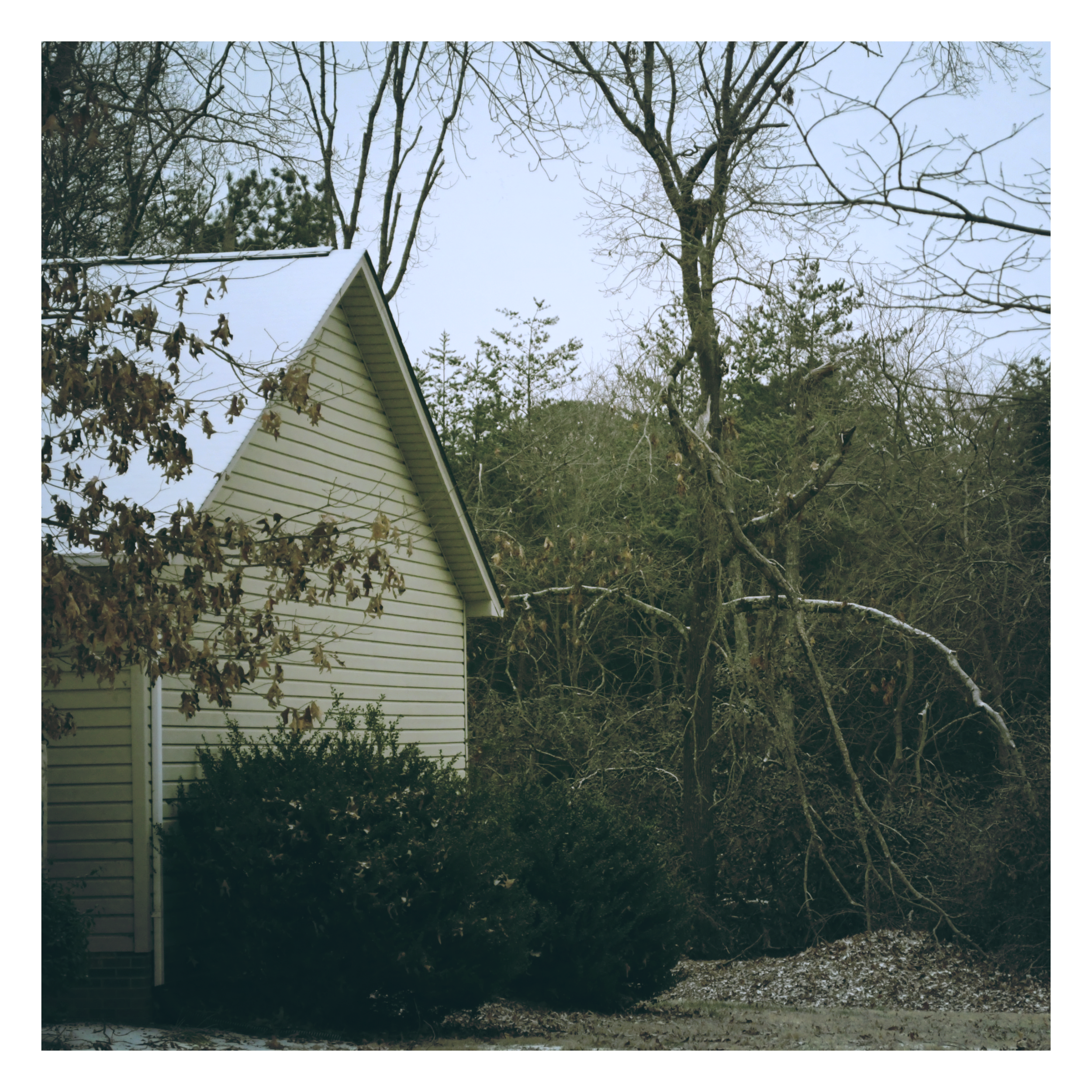 A portion of a house with beige siding, a snow-covered roof, surrounded by leafless trees and bushes with some dried leaves, under a gray sky.
