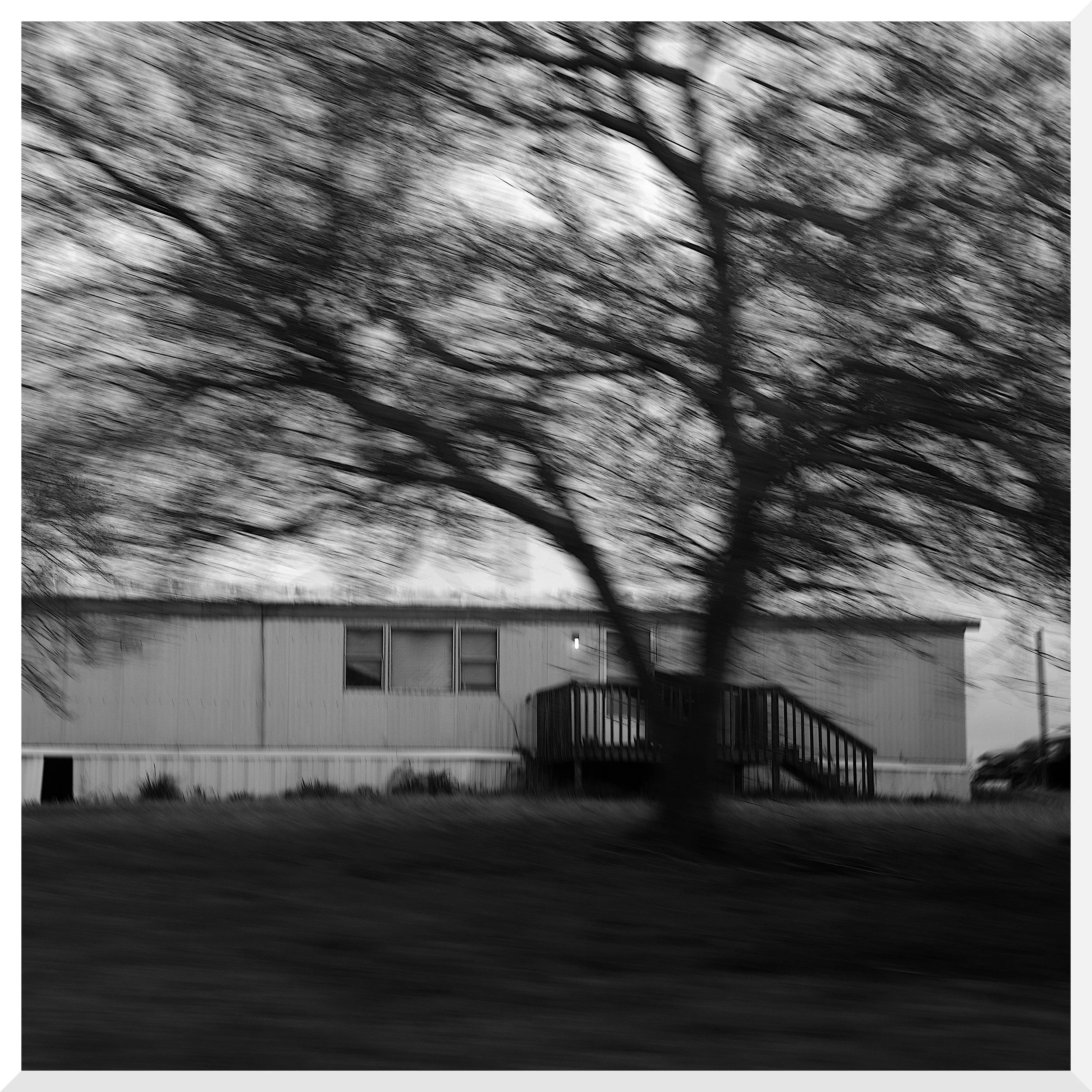 Blurred black and white photo of trees and a house, with motion blur effect.
