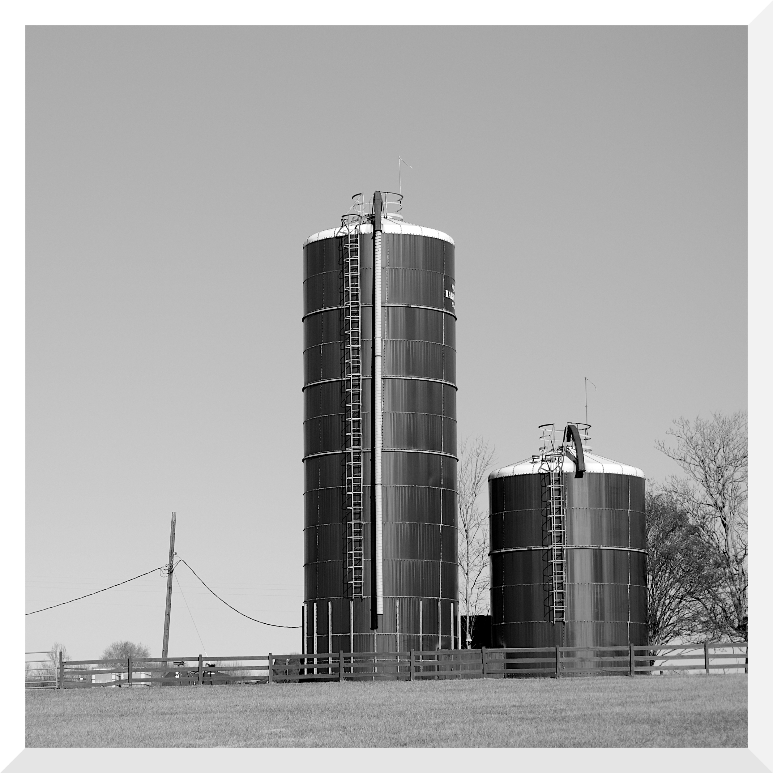 DSC_1908_2.png