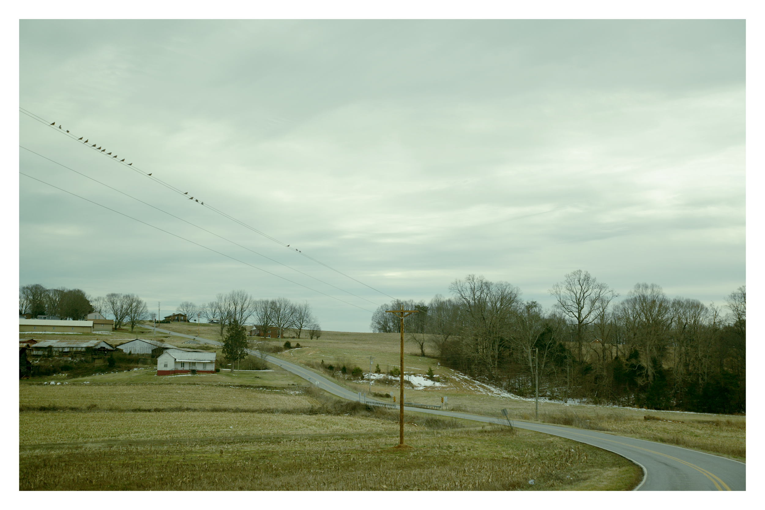 A winding country road with a yellow dividing line, a utility pole, bare trees, small houses, a cloudy sky, and a grassy field.