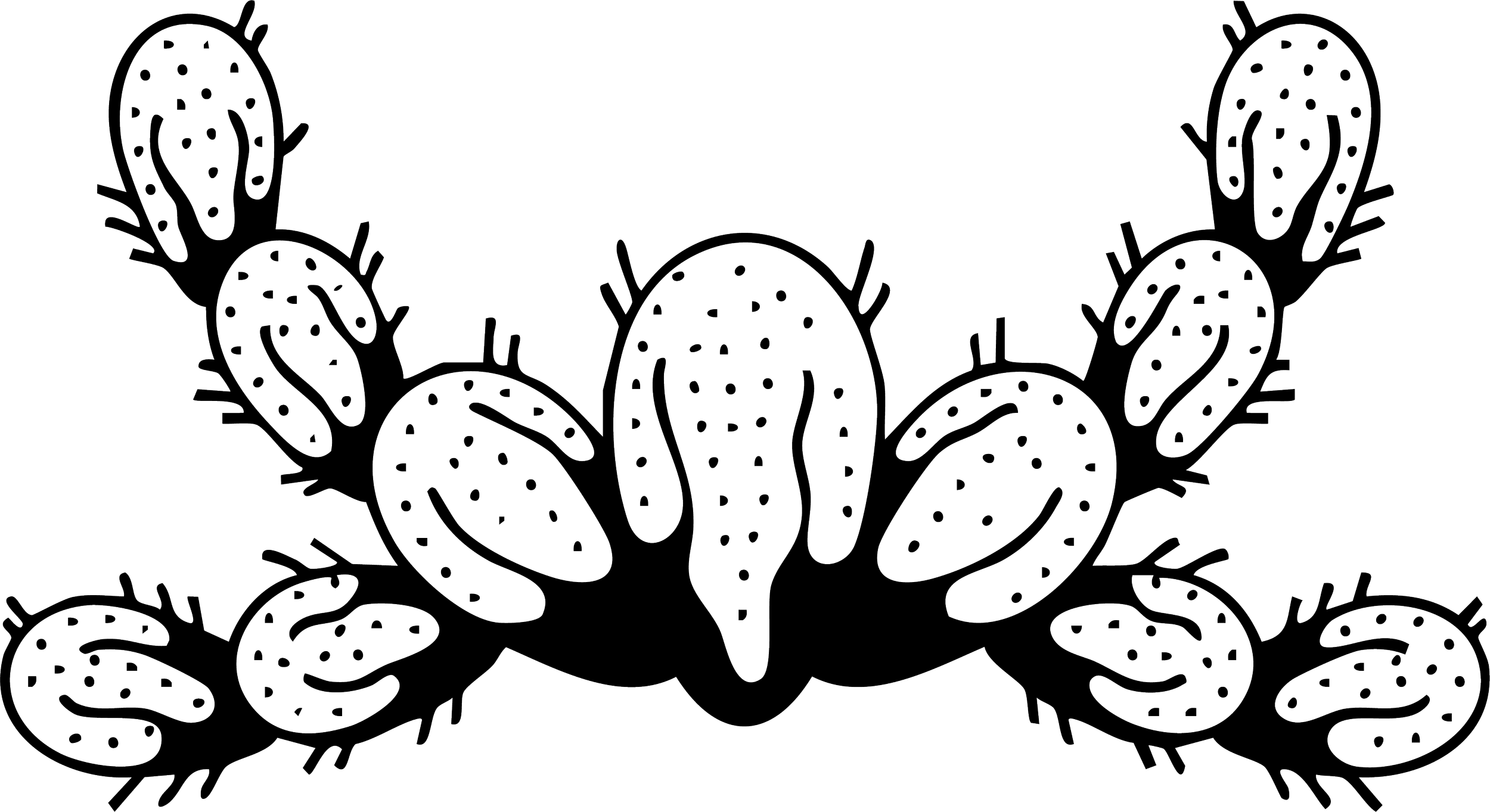 A black and white illustration of multiple cacti with spines in a symmetrical arrangement.