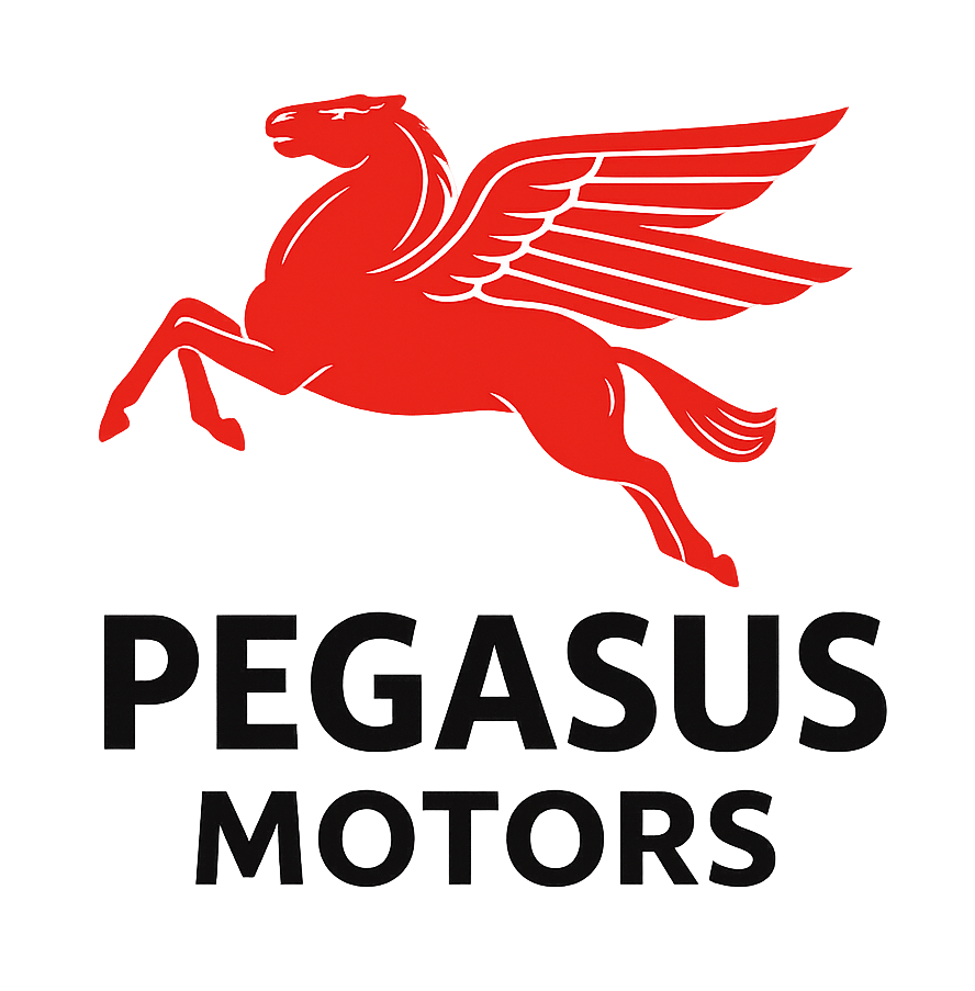 PEGASUS MOTORS LLC