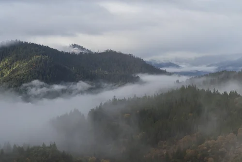 River through forest in Mendocino County