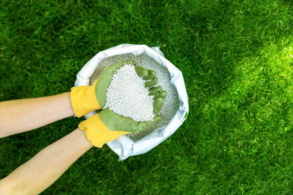 Person wearing green and yellow gloves handling white granular fertilizer from a bag on a green lawn.