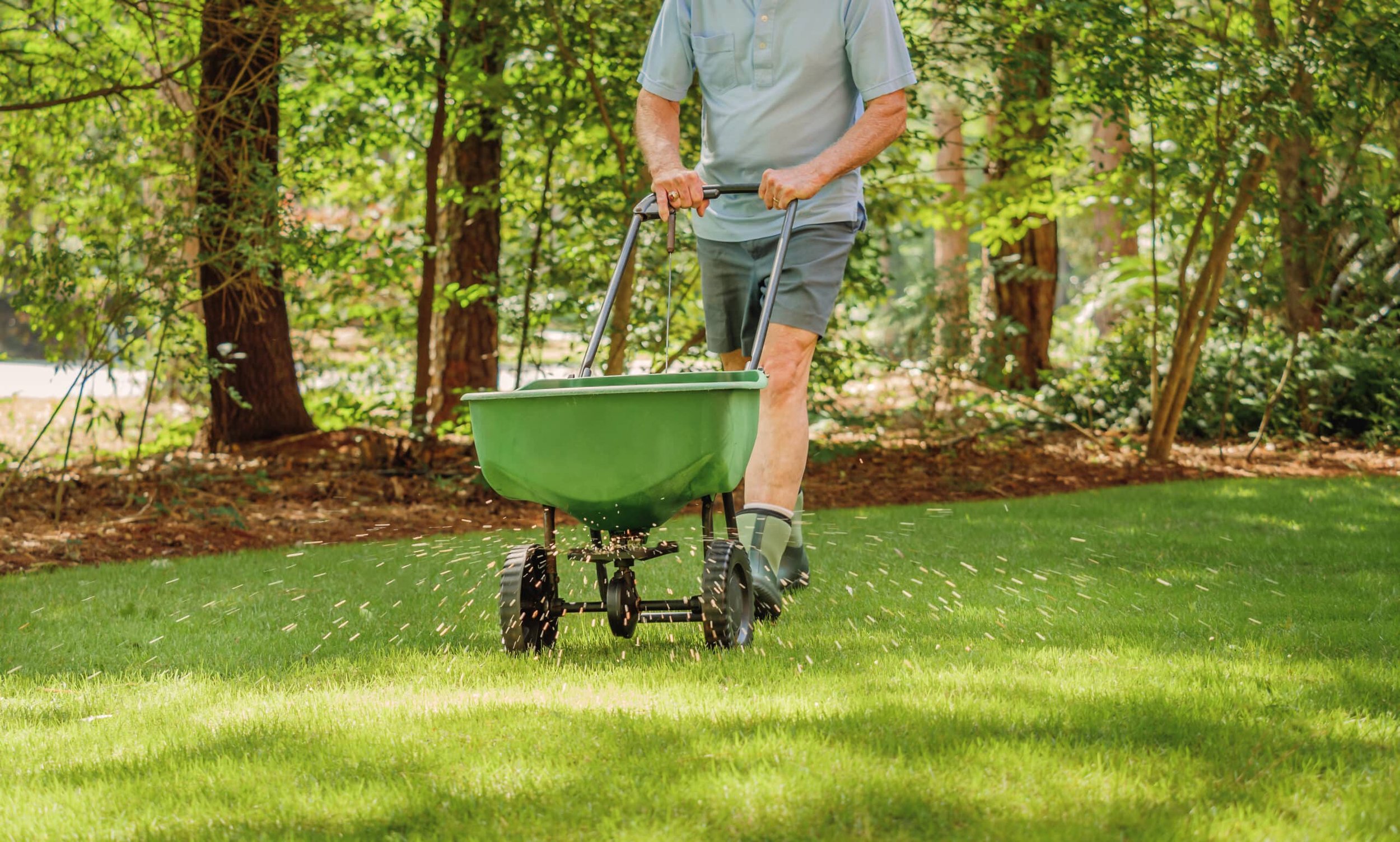 A man wearing a gray shirt and shorts pushing a green wheelbarrow on a grassy lawn, with trees and greenery in the background.