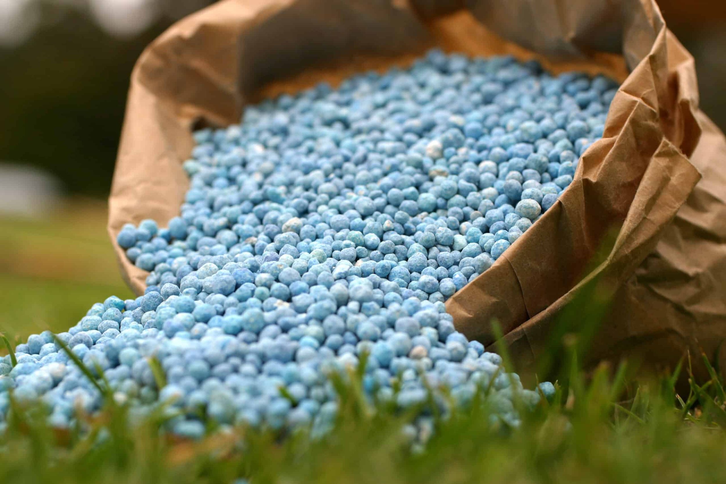 Close-up of a brown paper bag filled with small blue-green beads, outdoors on grass.
