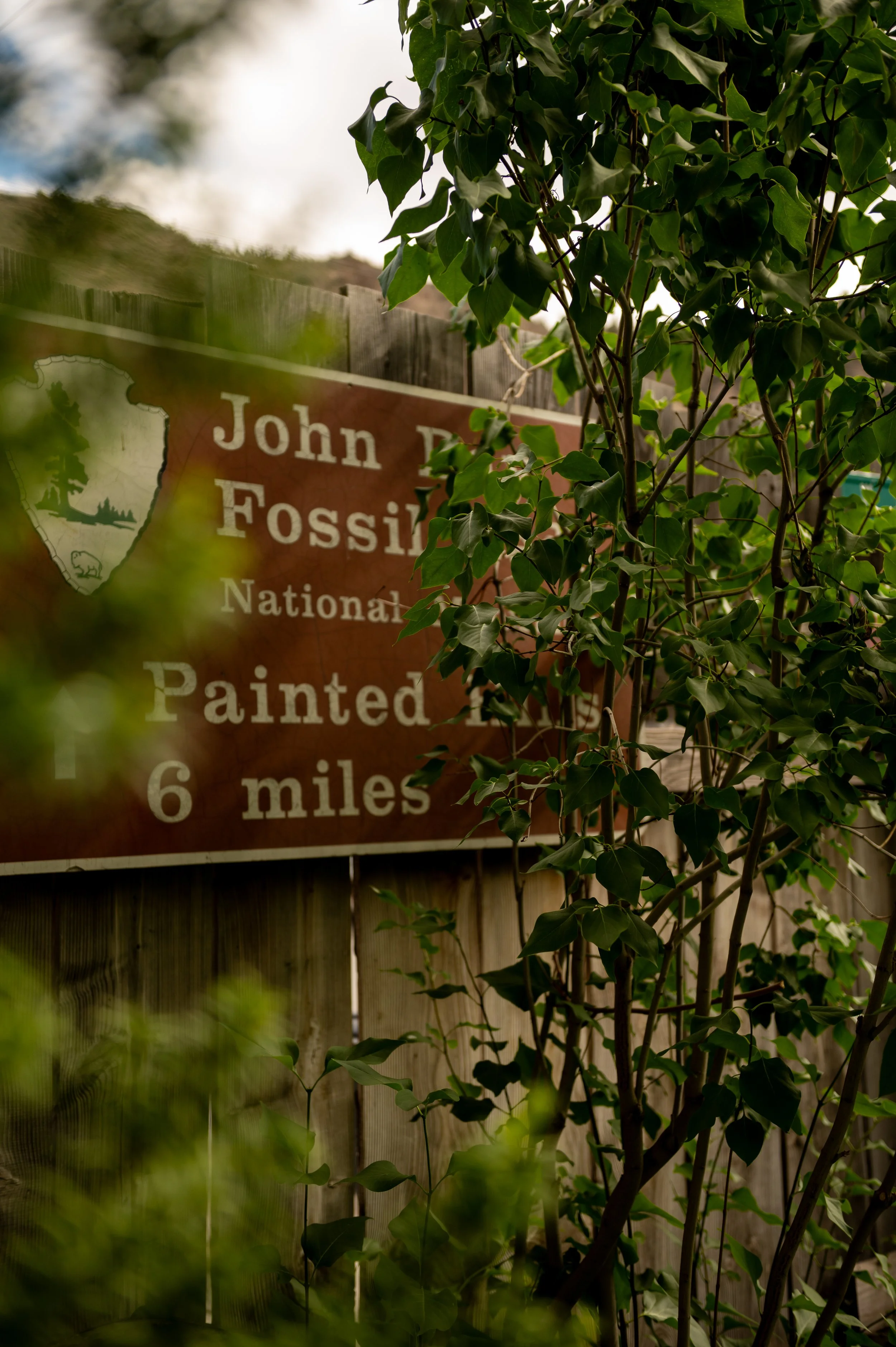Painted Hills Festival 