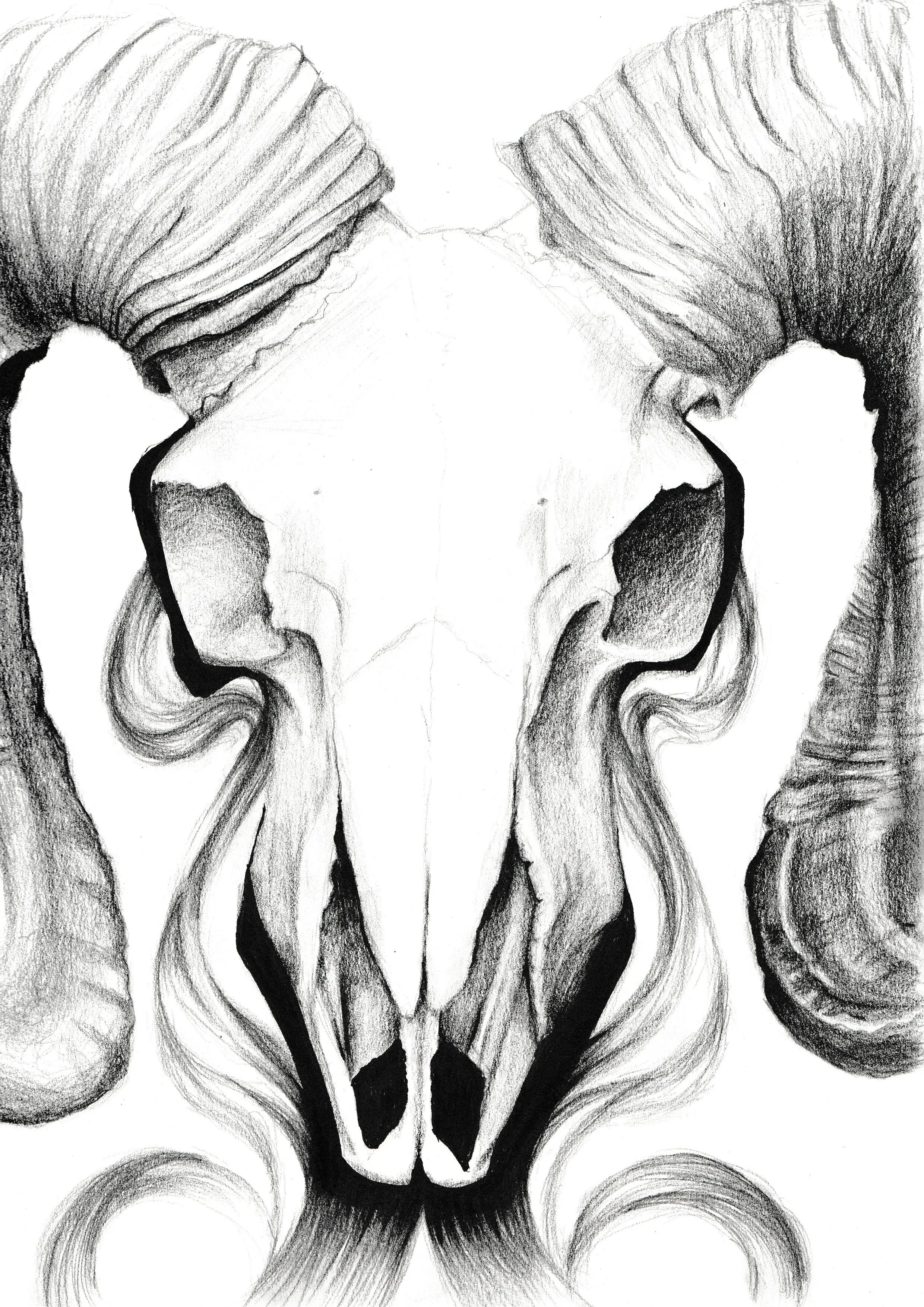 Snowed in Ideas 2 2026 9x12" graphite