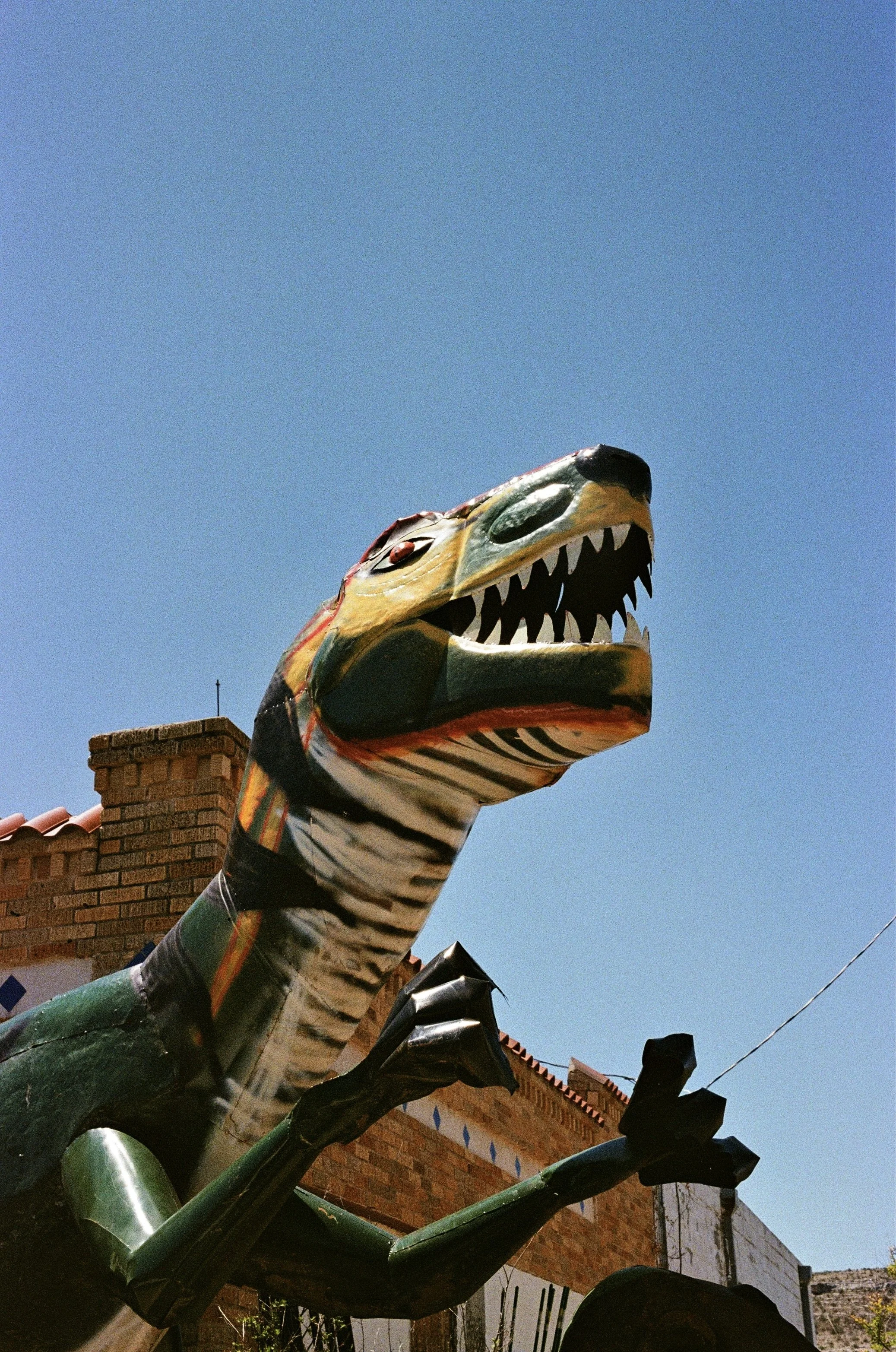IMG_8115.jpg