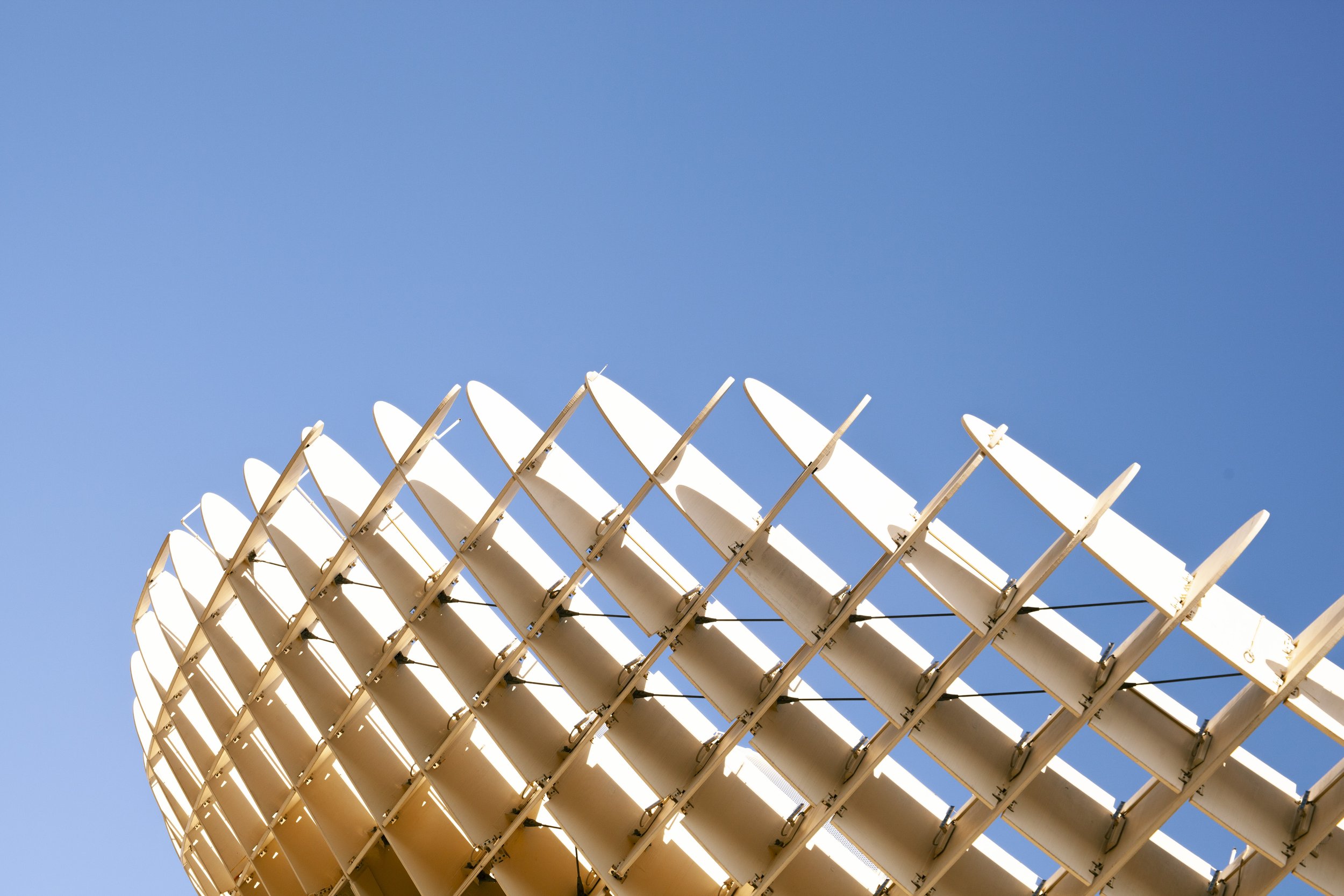 IMG_4976.JPG