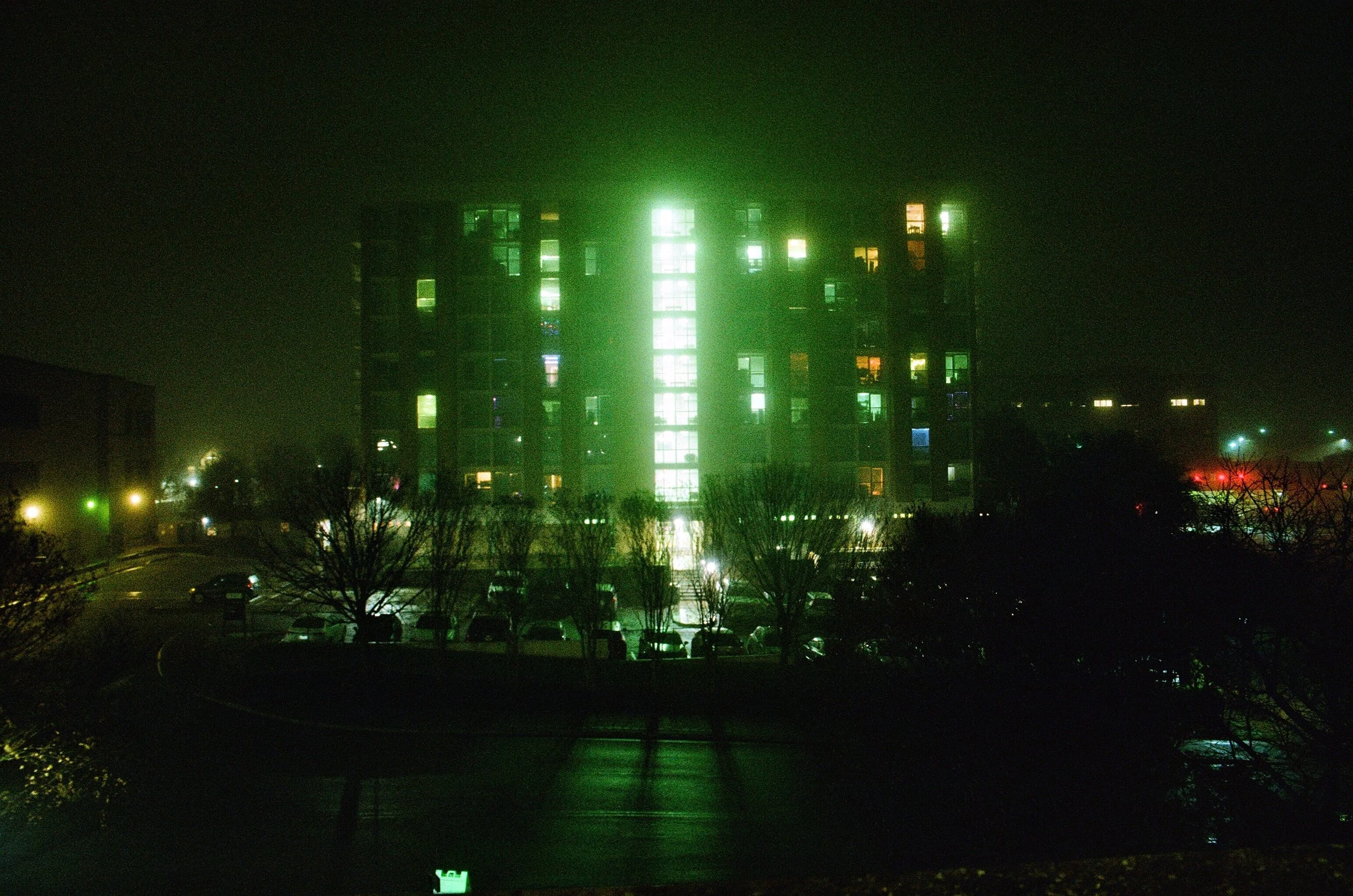10610014.JPG