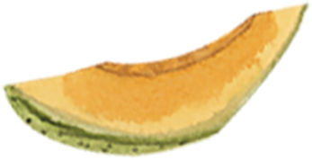 A slice of cantaloupe melon with orange flesh and green rind