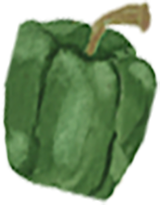 Close-up of a green bell pepper