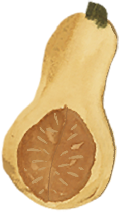 A halved avocado showing the seed inside.