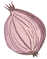 Close-up of a pink onion on a light background