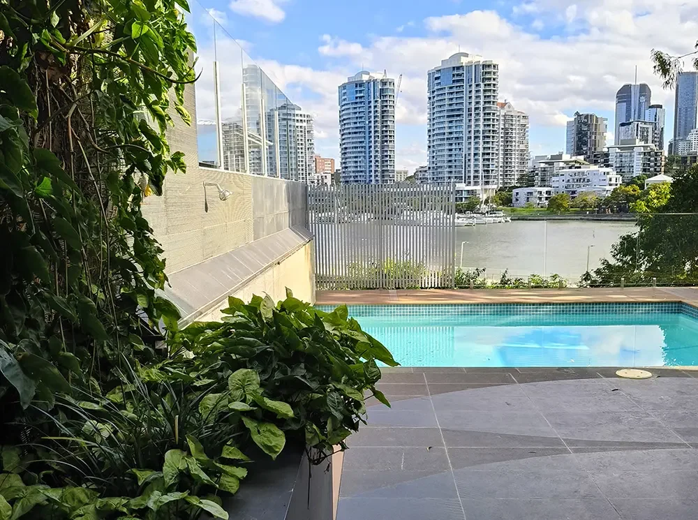 A view of a private swimming pool in Brisbane with city buildings and a river in the background, surrounded by greenery and modern architecture.