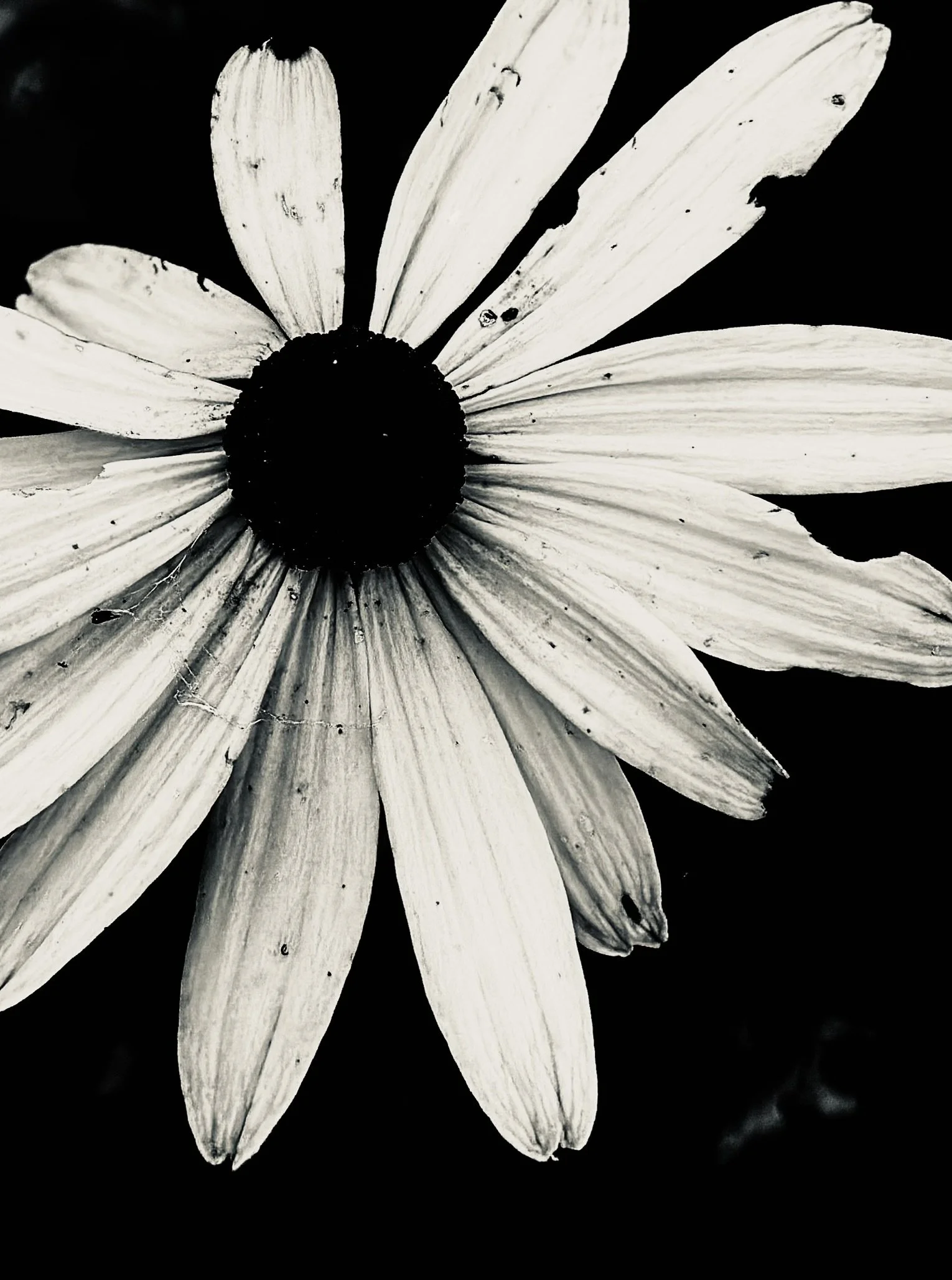 Imperfectly Poised