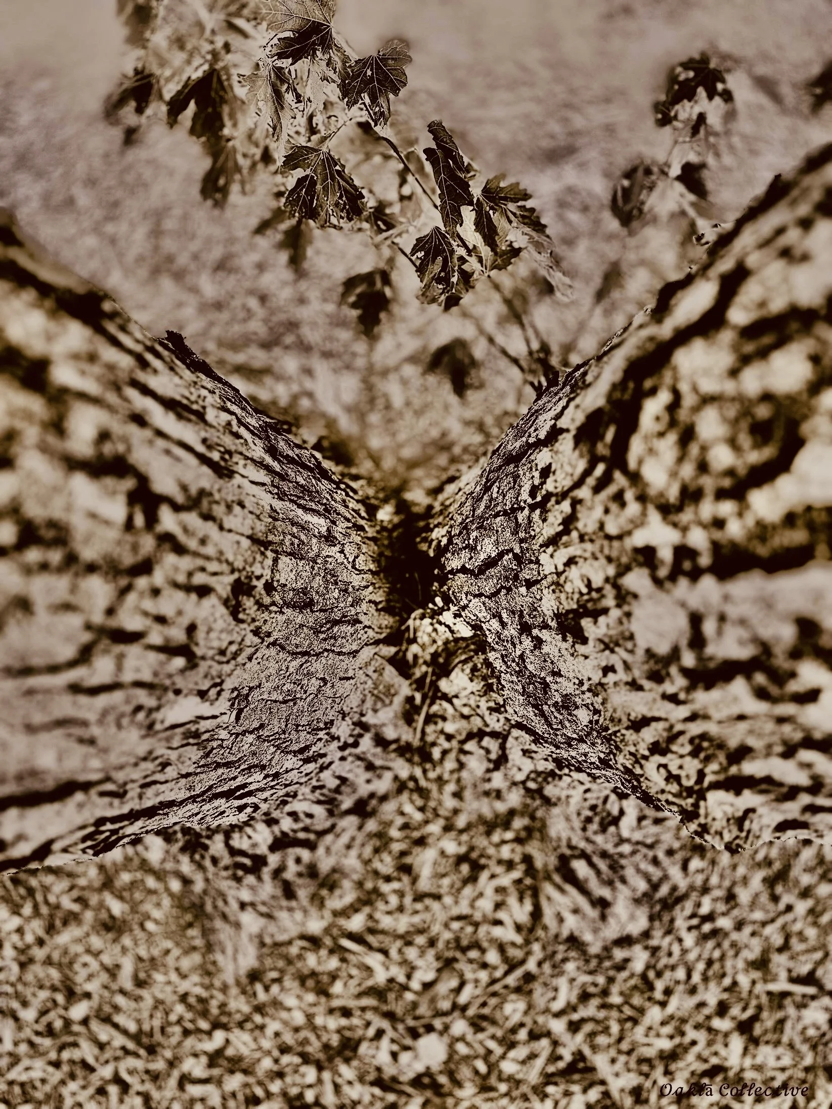 Holding Silence