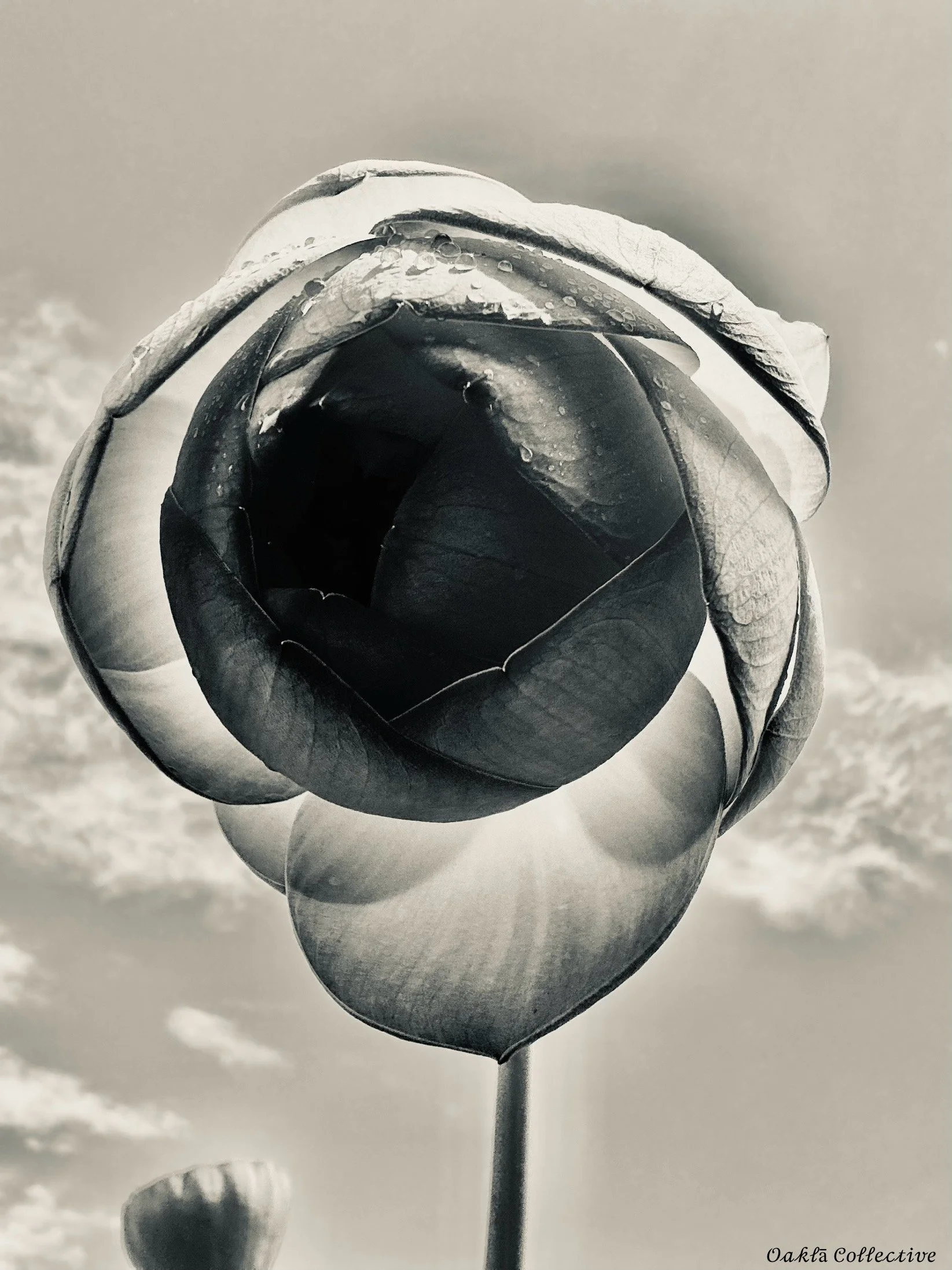 Unspoken