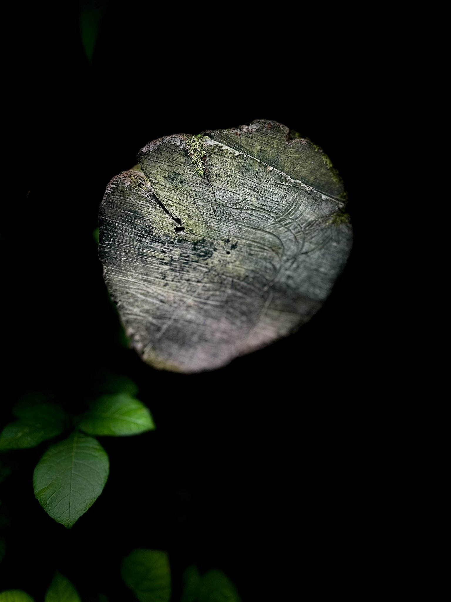Green Leaf