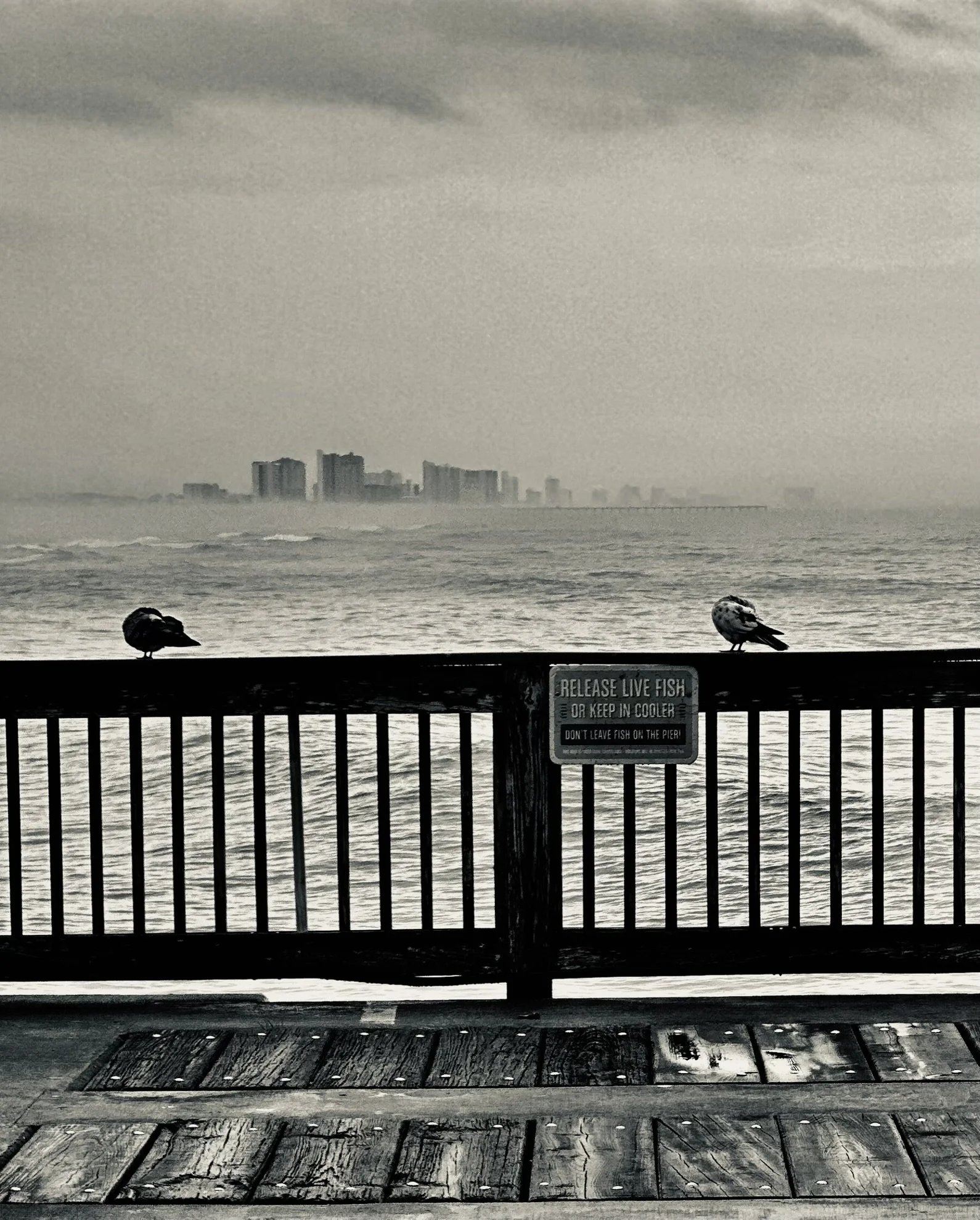 Two in Silence