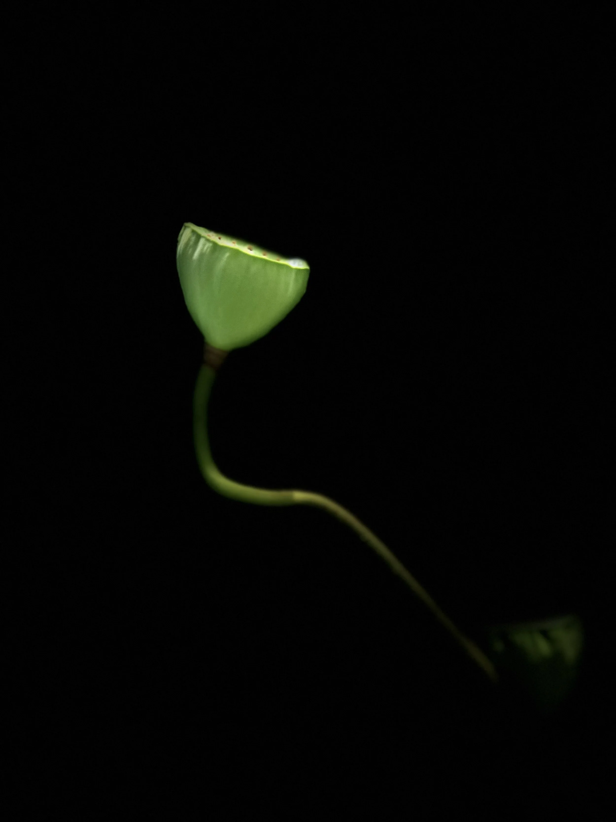 Presence