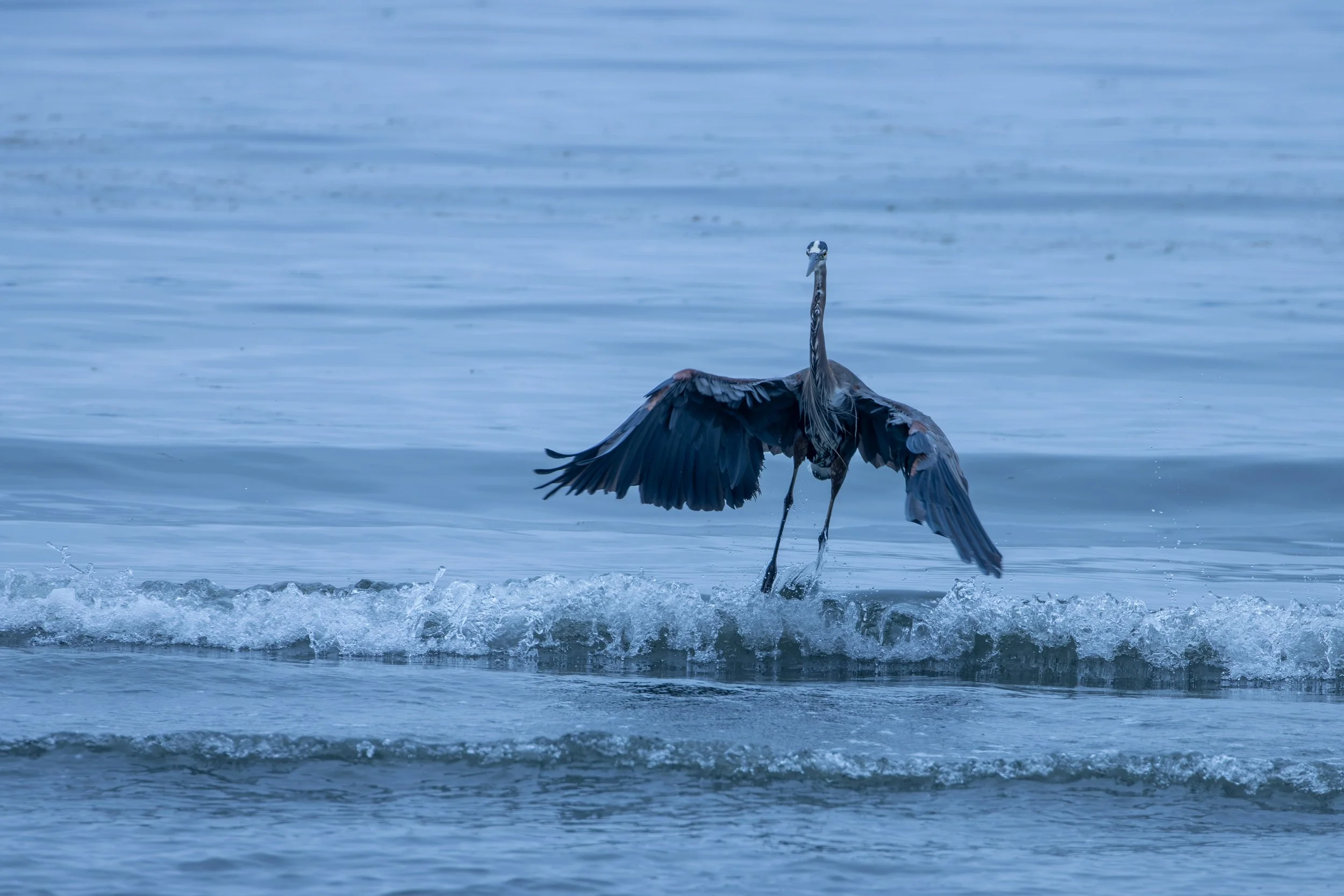 A Quiet Morning at the Beach