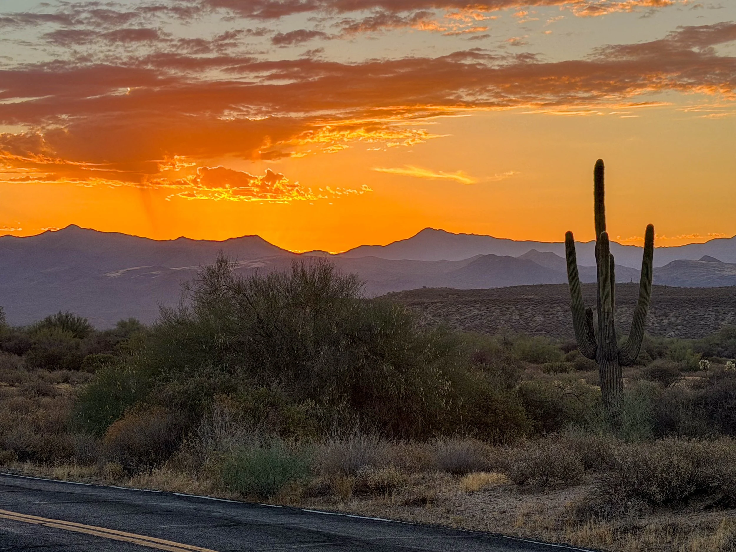 McDowell Regional Park