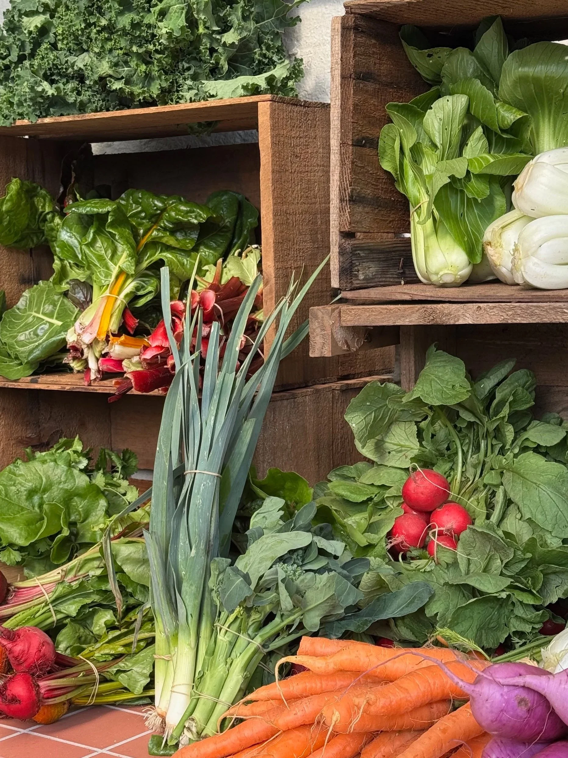 Fresh vegetables including carrots, radishes, leafy greens, and herbs are displayed in wooden crates and on a tiled surface.