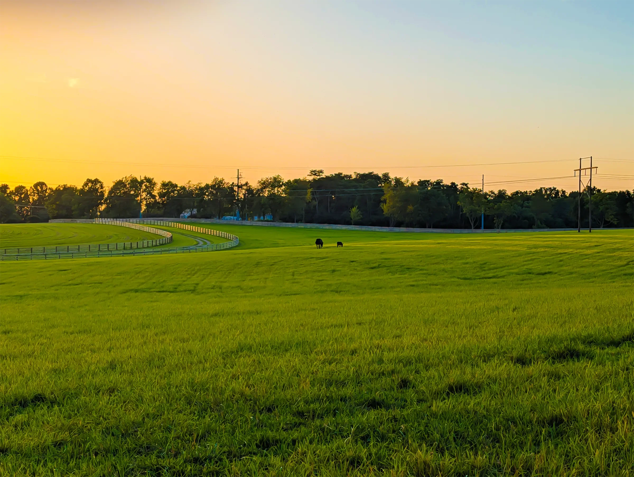 A lush green field with two horses grazing, bordered by fences, under a sunset sky with a gradient of yellow to light blue, and trees in the background.