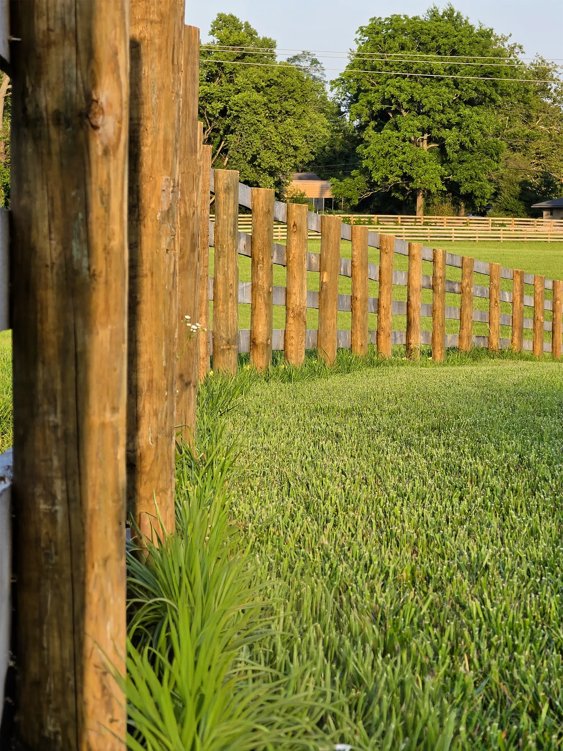 View of a wooden fence along a grassy yard with green trees in the background, under a clear sky.