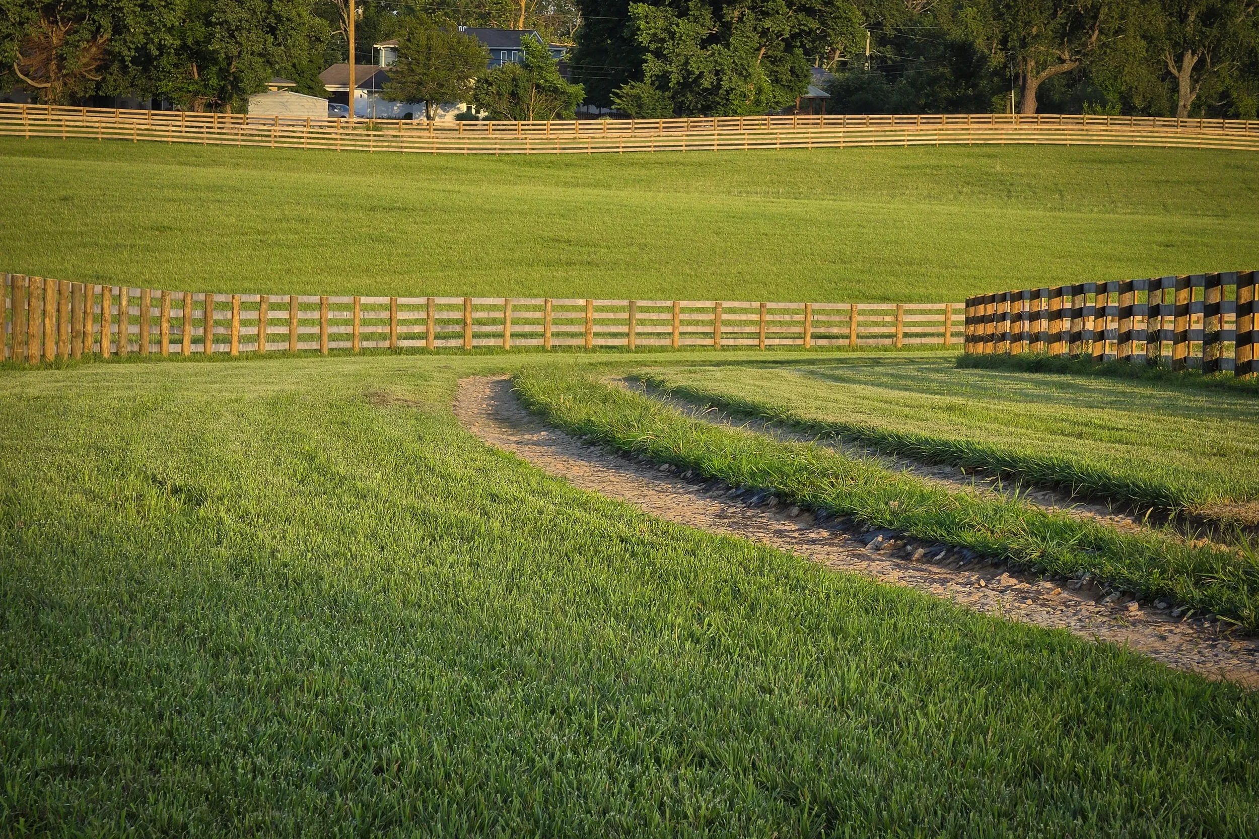 A grassy area with a dirt path winding through it, surrounded by wooden fences, and trees in the background under a clear sky.