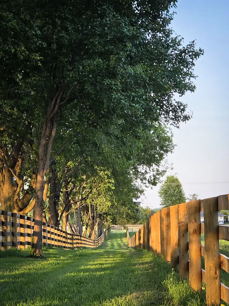 A grassy pathway lined with trees on the left and wooden fences on both sides, leading into the distance during late afternoon or early evening.