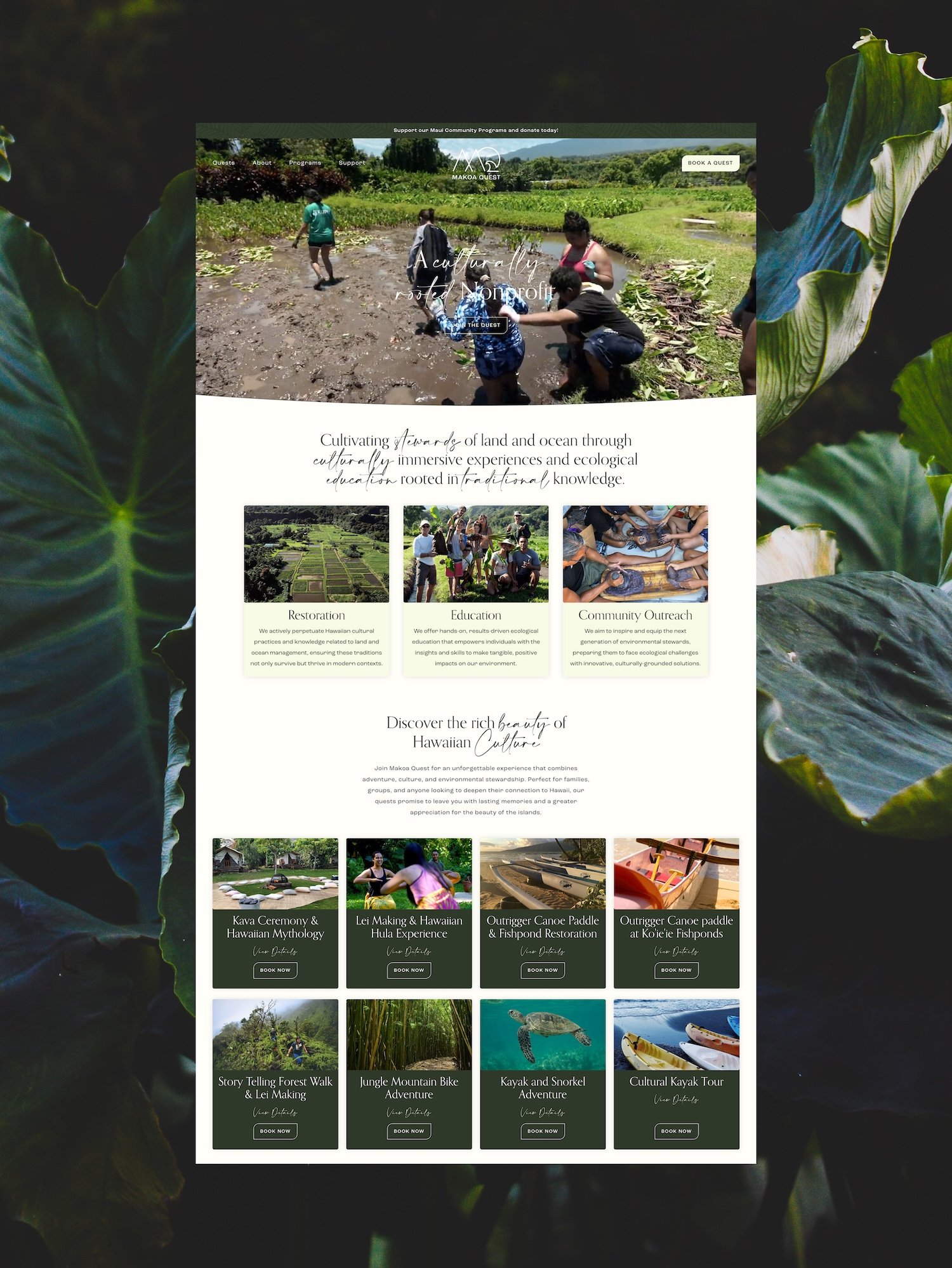 maui-nonprofit-website.jpg