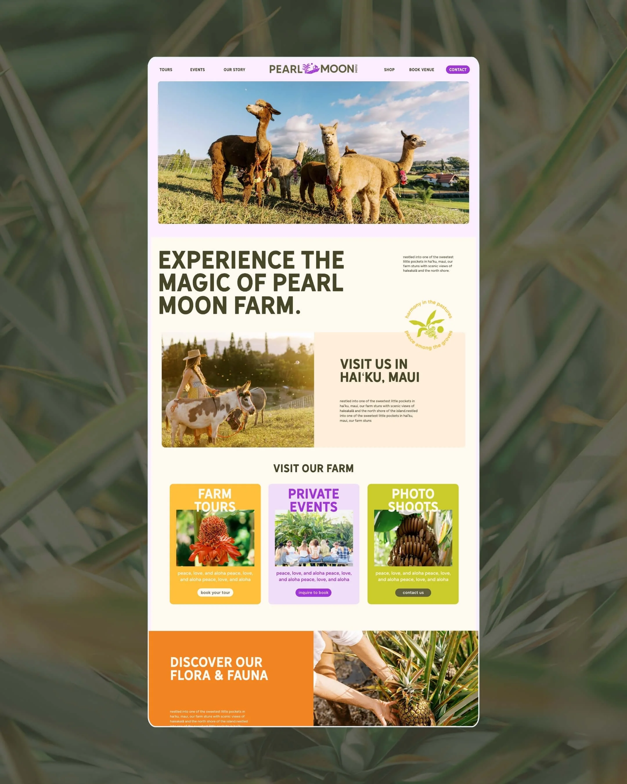 A website homepage for Pearl Moon Farm featuring a photo of alpacas in a field, a woman on horseback, and sections promoting farm tours, private events, and flora and fauna discovery.