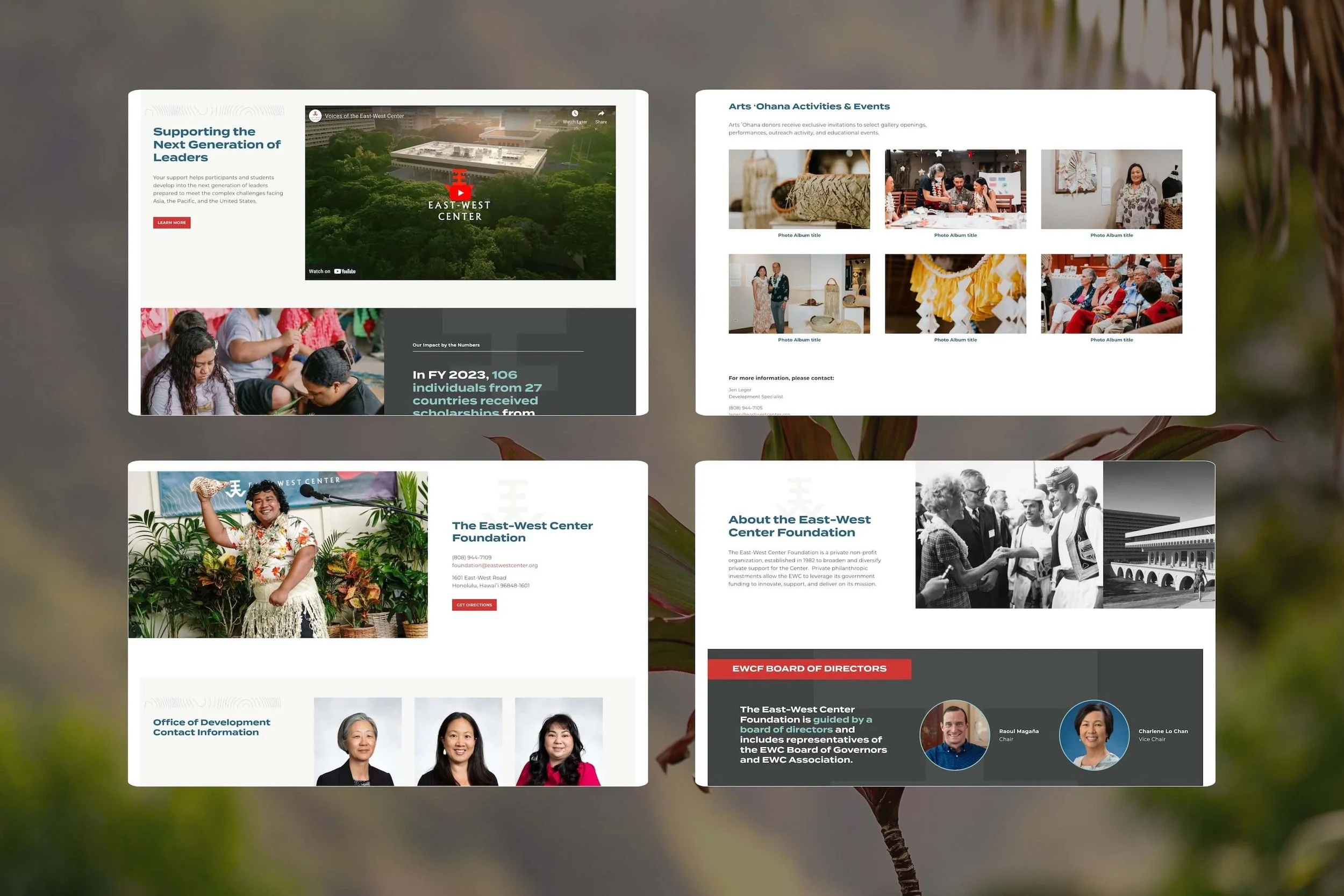 nonprofit-web-design-hawaii.jpg