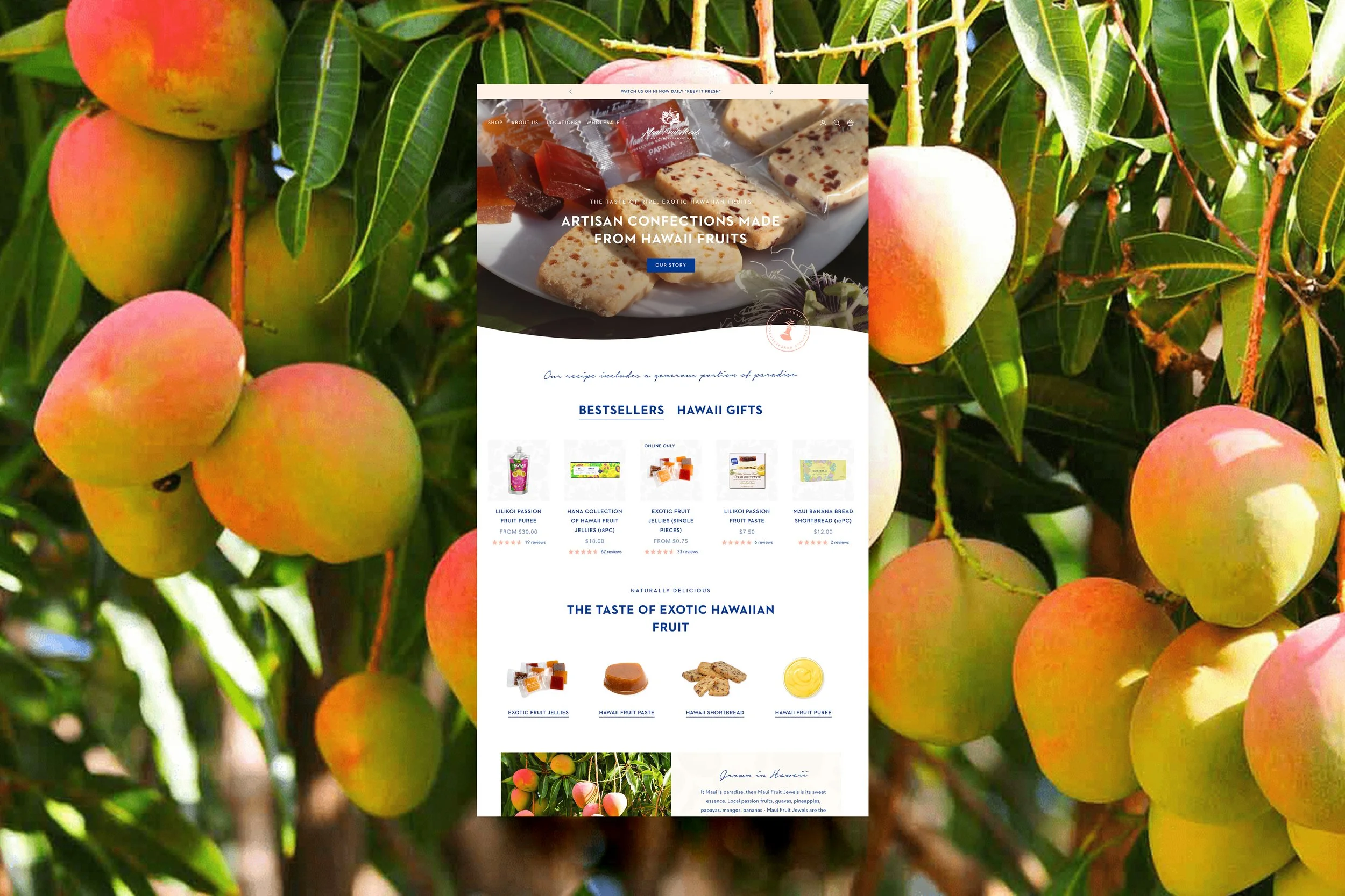 maui-fruit-jewels-homepage.jpg