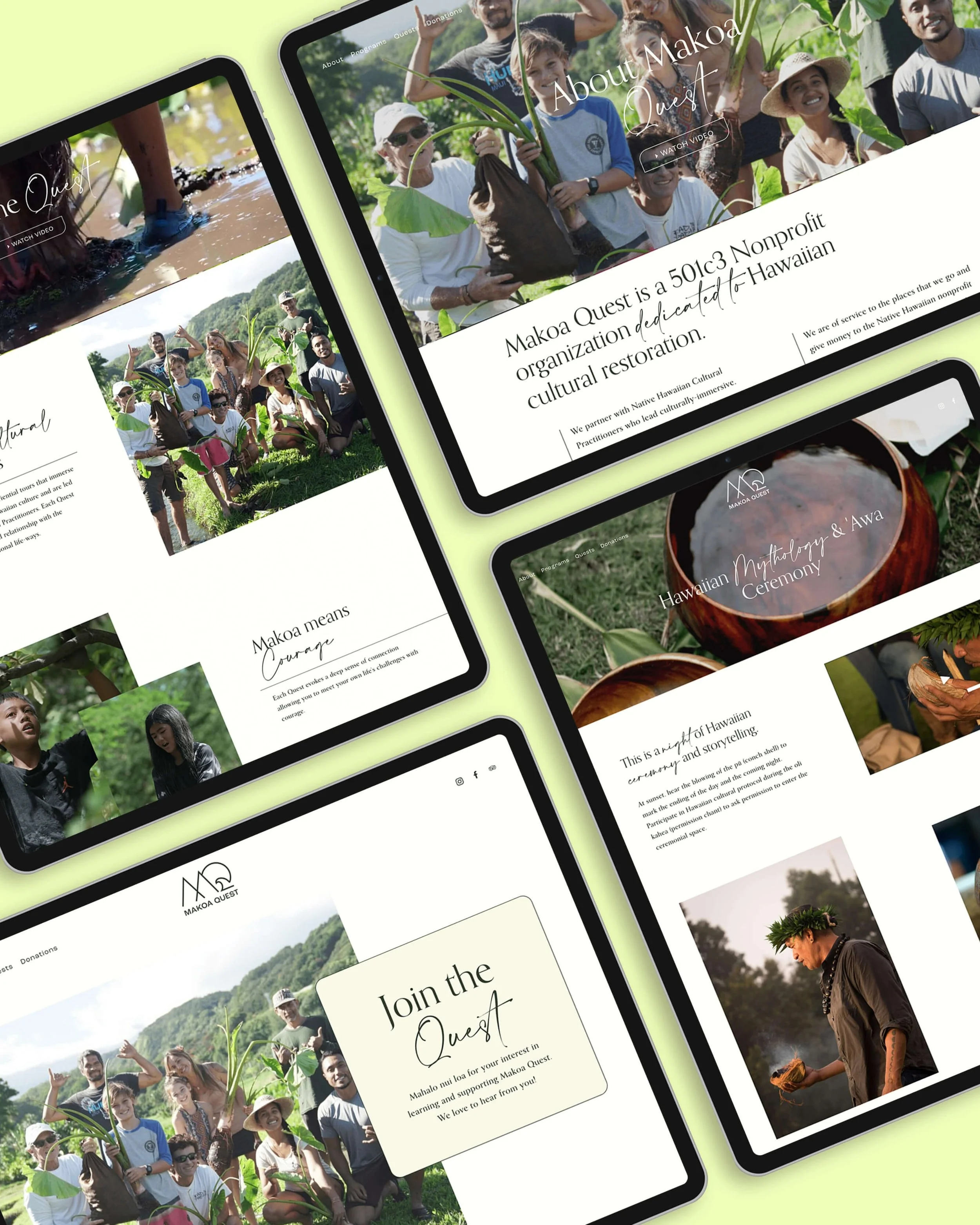 hawaii-nonprofit-web-designer.jpg