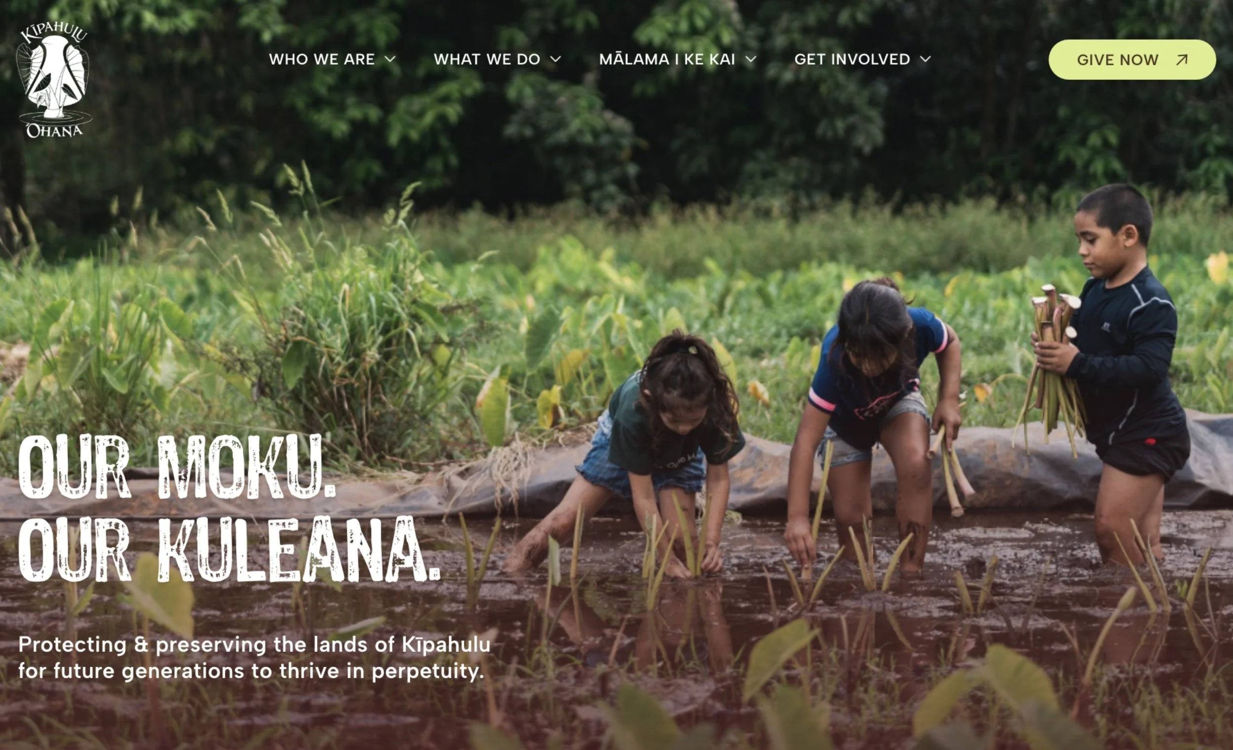 Thumbnail showing Squarespace website of Kipahulu Ohana featuring three children in a taro patch.