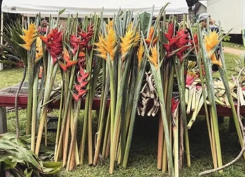 Colorful tropical flowers displayed on wooden shelves at an outdoor market in Hawaii.