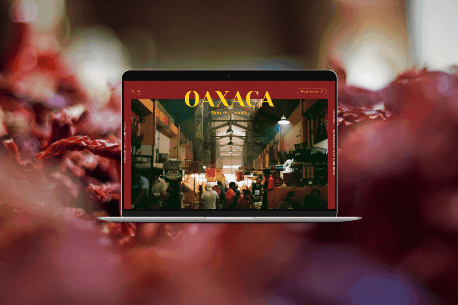 travel-website-squarespace.gif