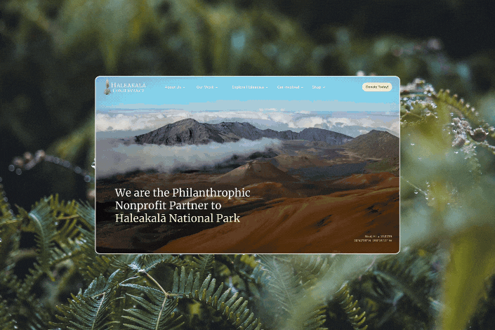 maui-nonprofit-squarespace-designer.gif