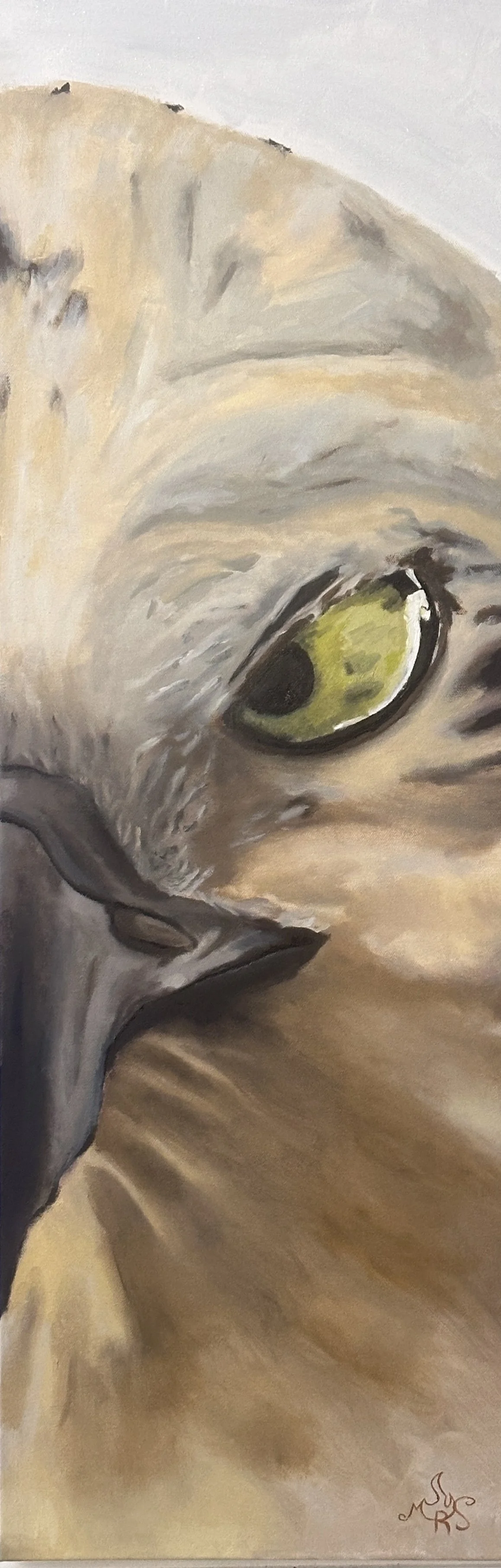 Close-up of a painting of a cat's face, focusing on its large green eye and part of its snout. The background is beige and the style is realistic with soft brushstrokes.
