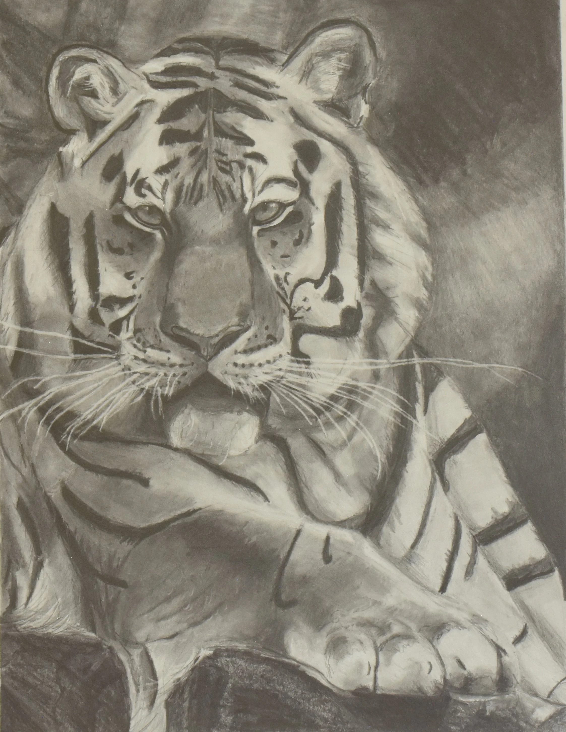 A monochrome drawing of a tiger resting with its eyes half-closed, lying on a surface with detailed shading and fur texture.