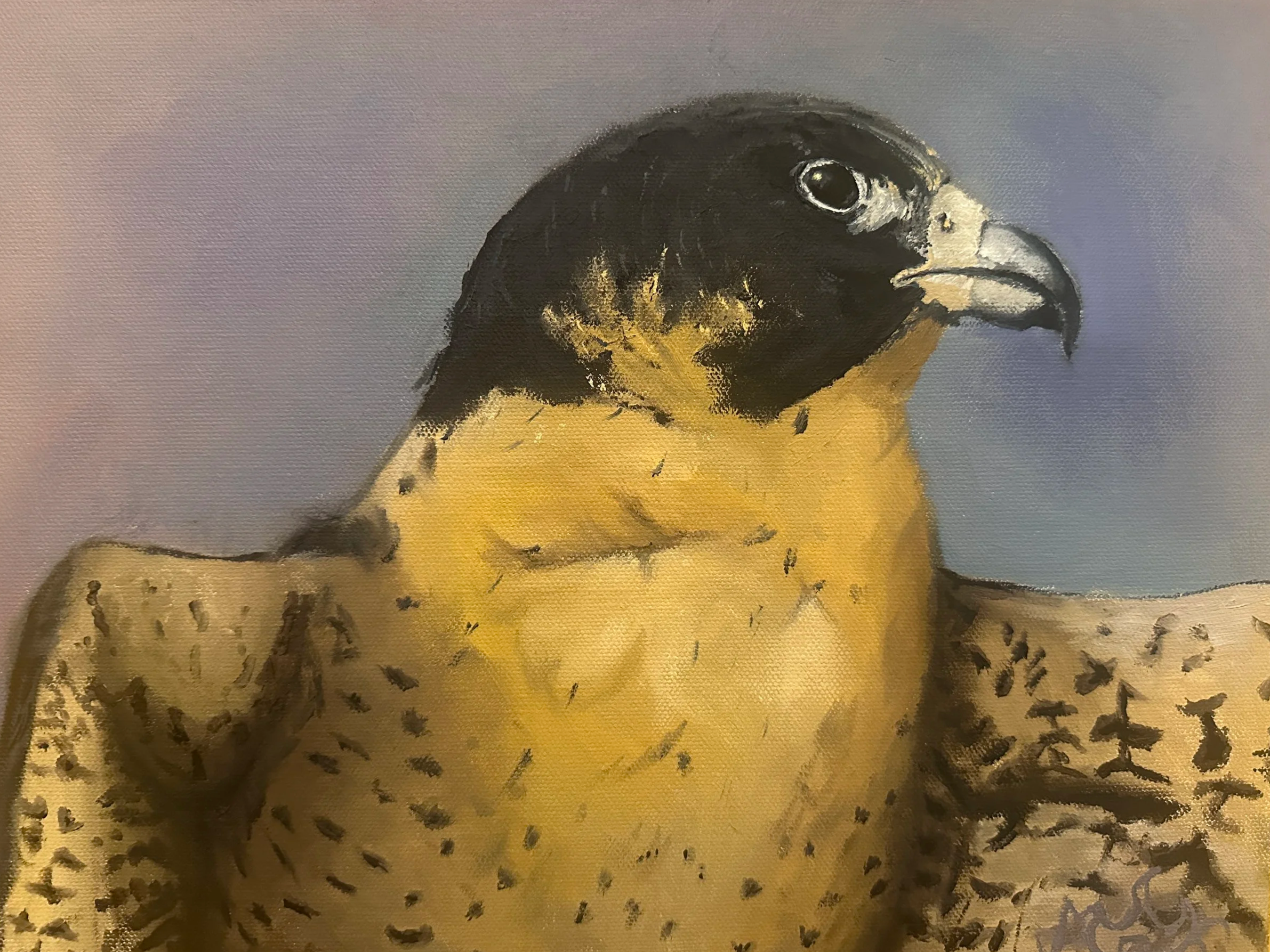 A painting of a bird with a black head, white cheek patch, and yellow and black plumage, against a plain background.