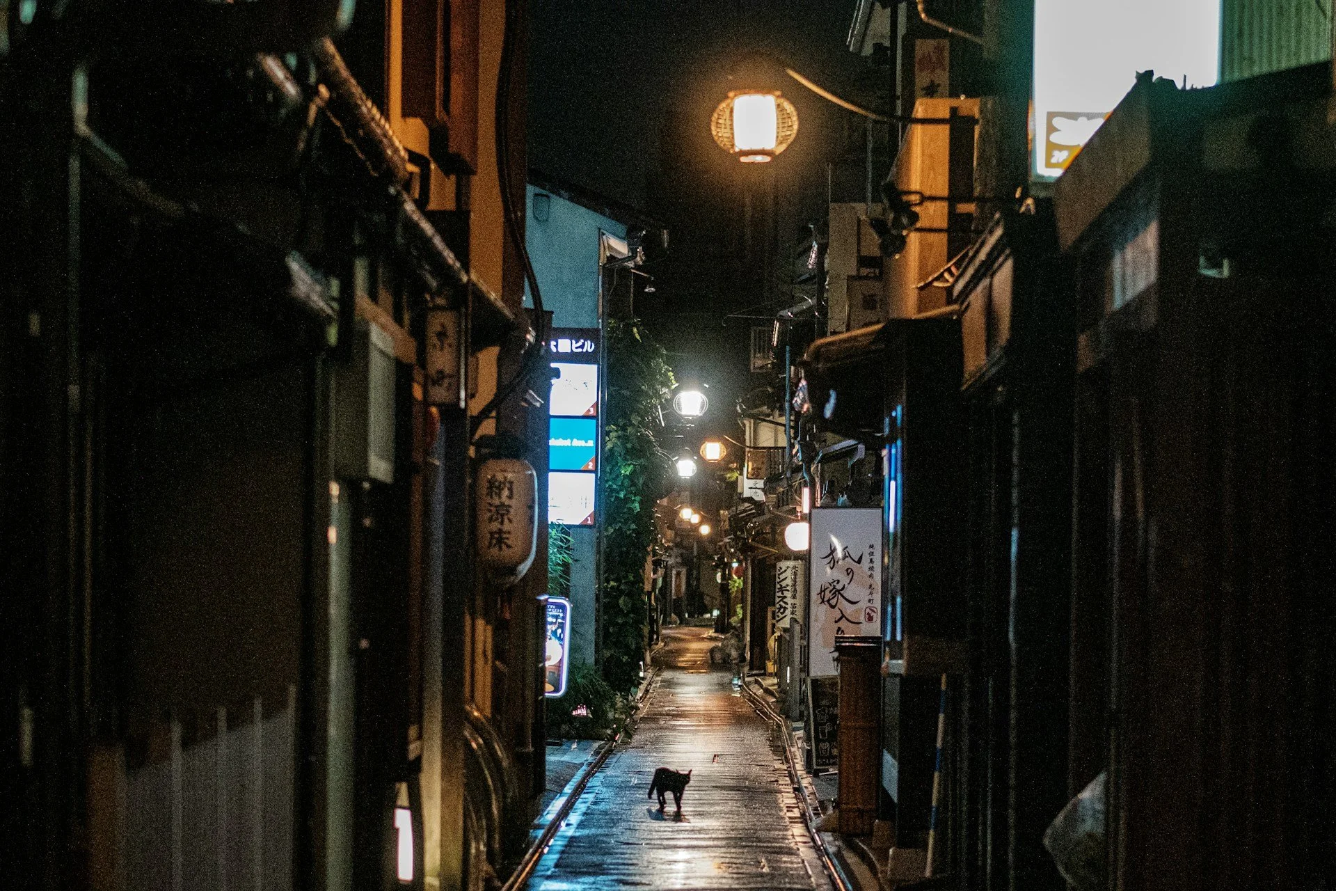 kyoto-architectural-secrets-led-by-an-architect-tour-geisha-district-street.jpg