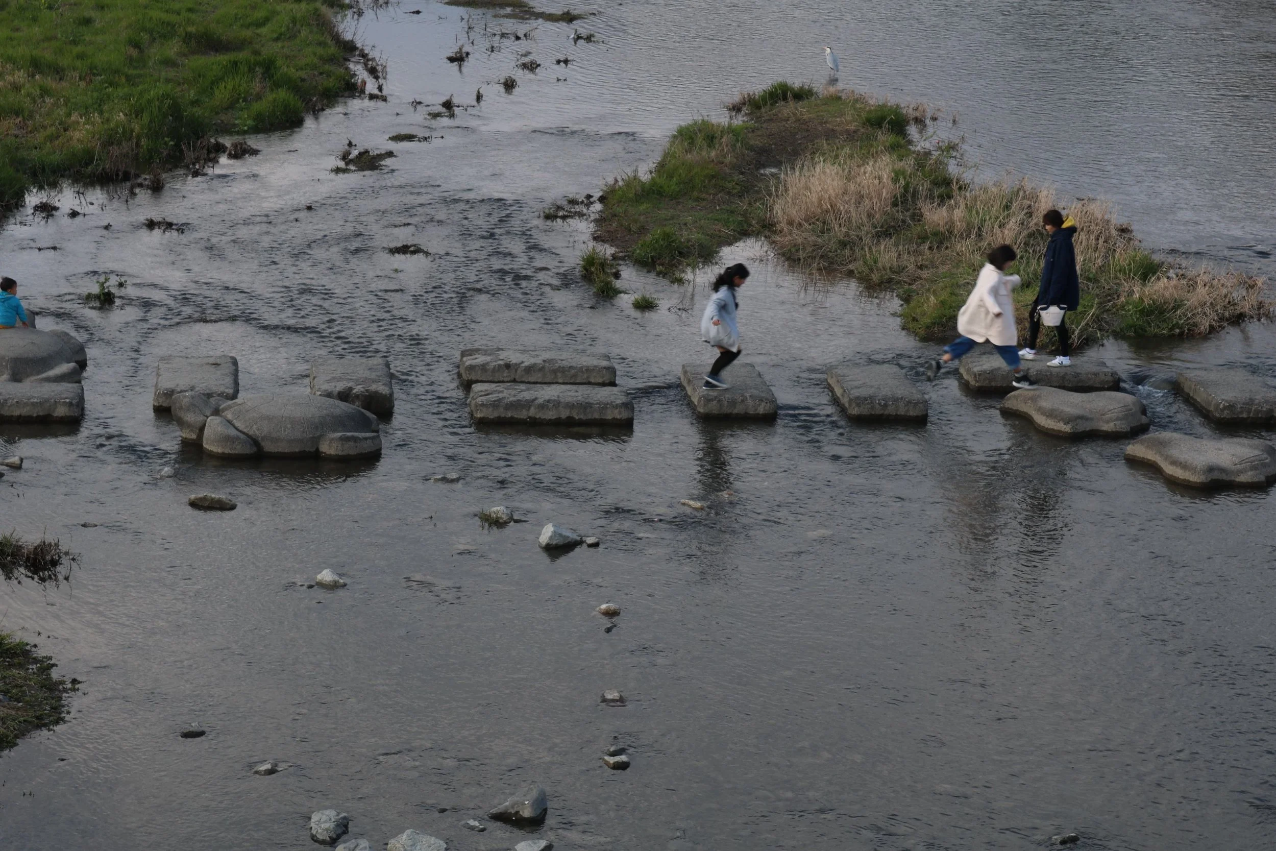 japanese-gardens-private-tour-kamogawa-garden.JPG