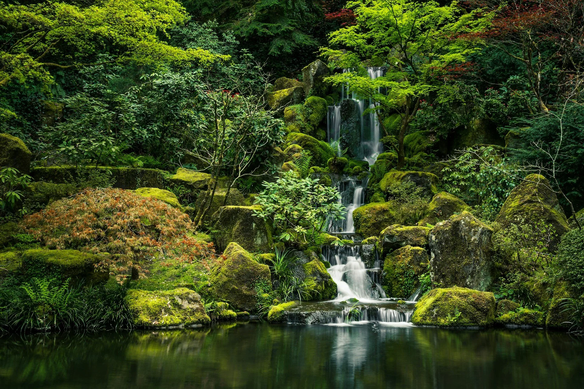 principles-of-japanese-design-led-by-an-architect-private-tour-garden.jpg