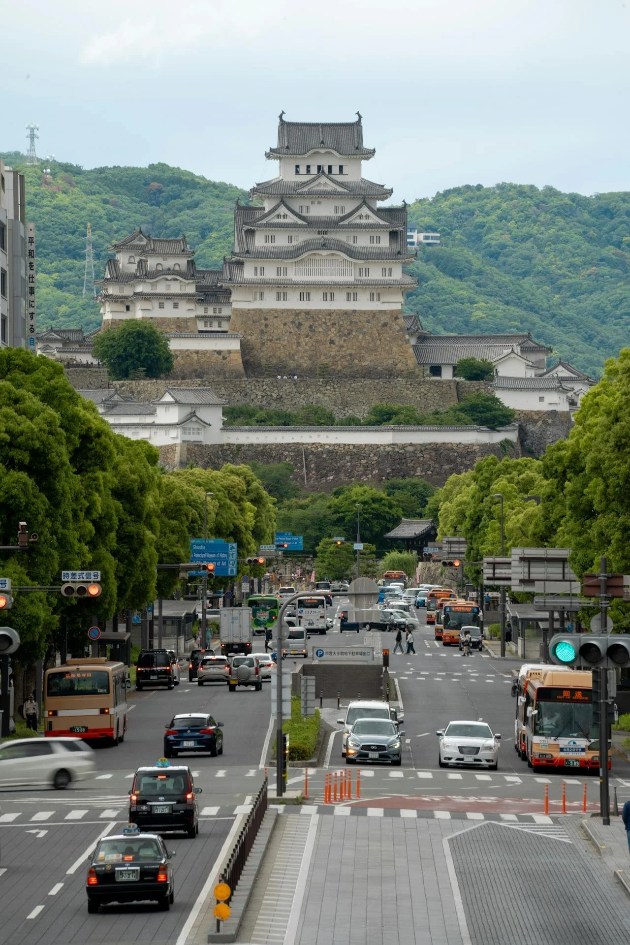 private-himeji-tour-authority-in-architecture.jpg
